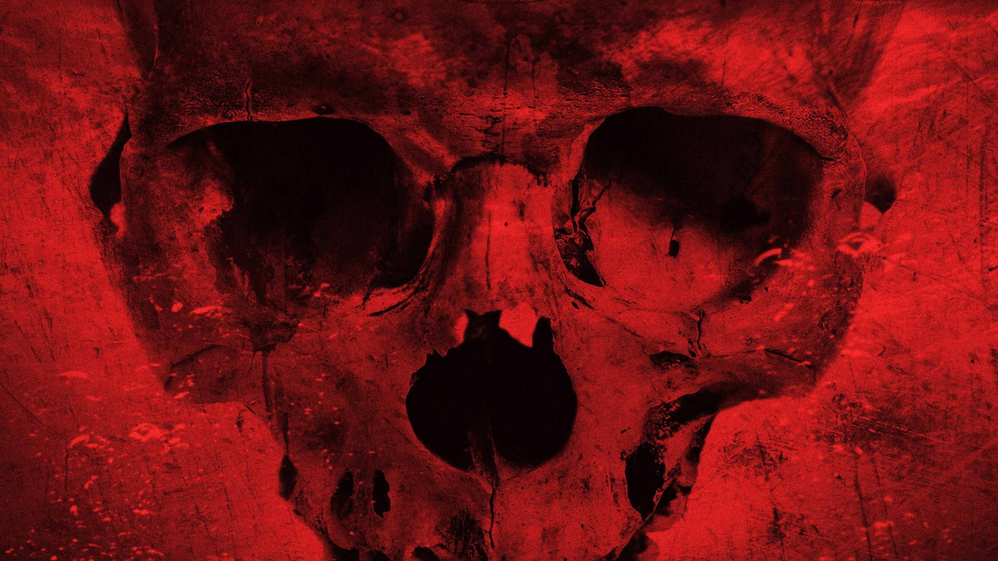 Cabin Fever: Patient Zero scene photo
