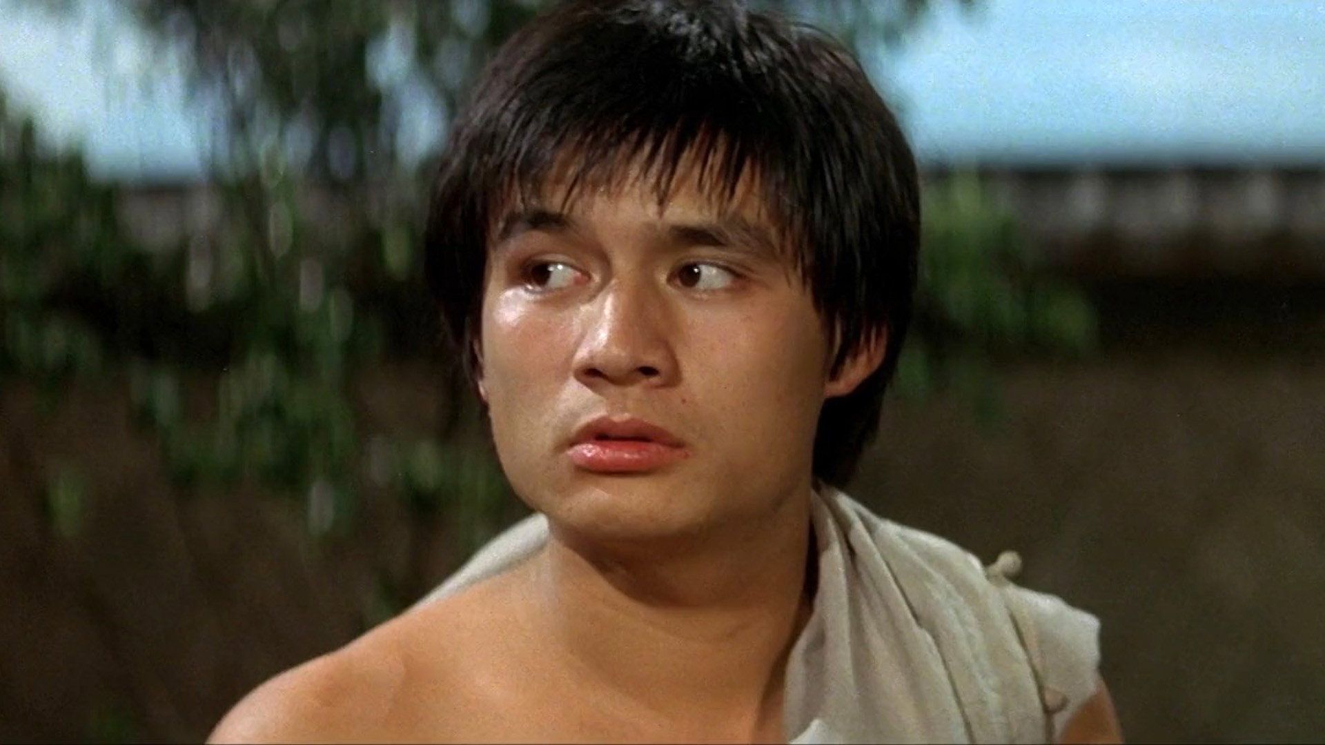 Cai li fa xiao zi scene photo