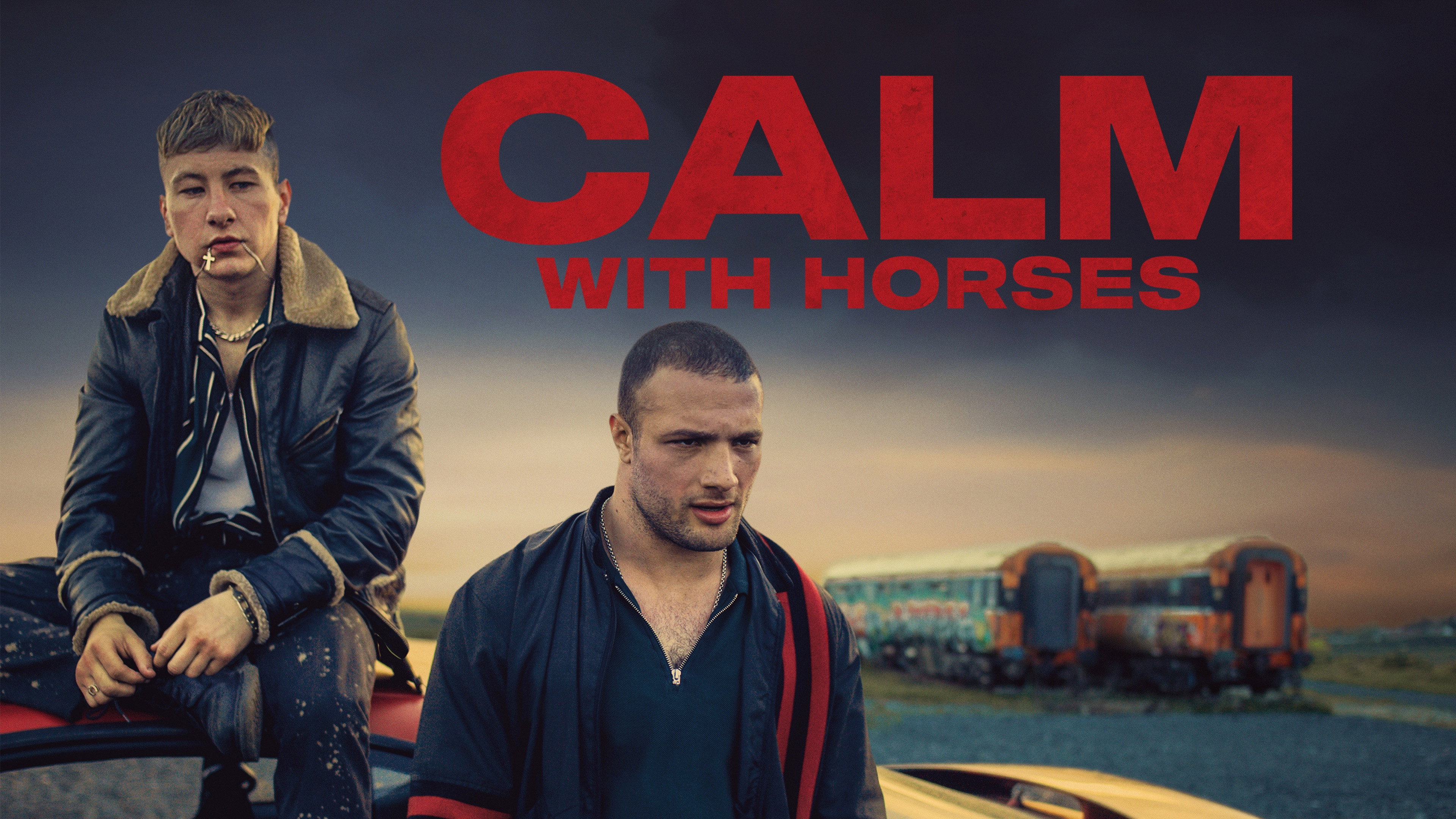 Calm with Horses scene photo