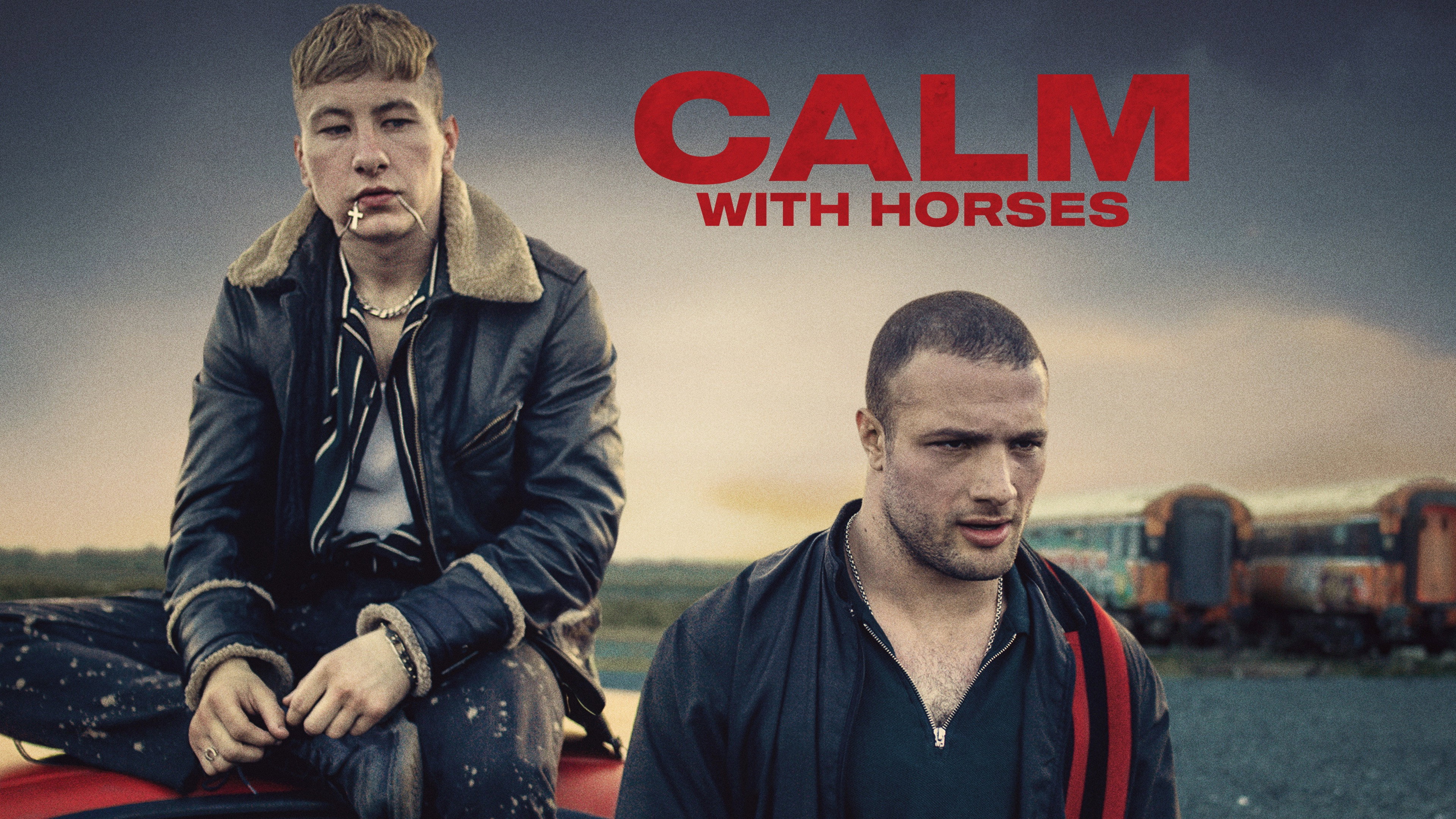 Calm with Horses scene photo