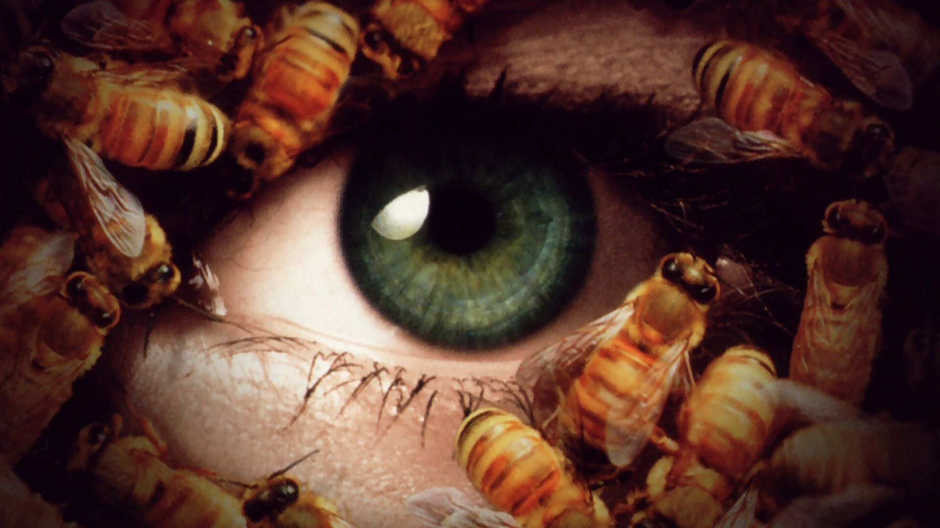 Candyman: Day of the Dead scene photo