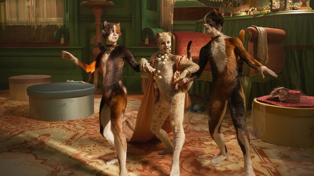 Cats scene photo