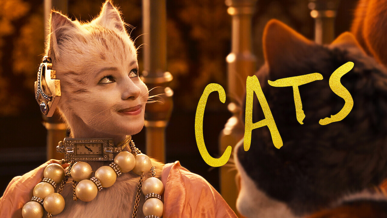Cats scene photo