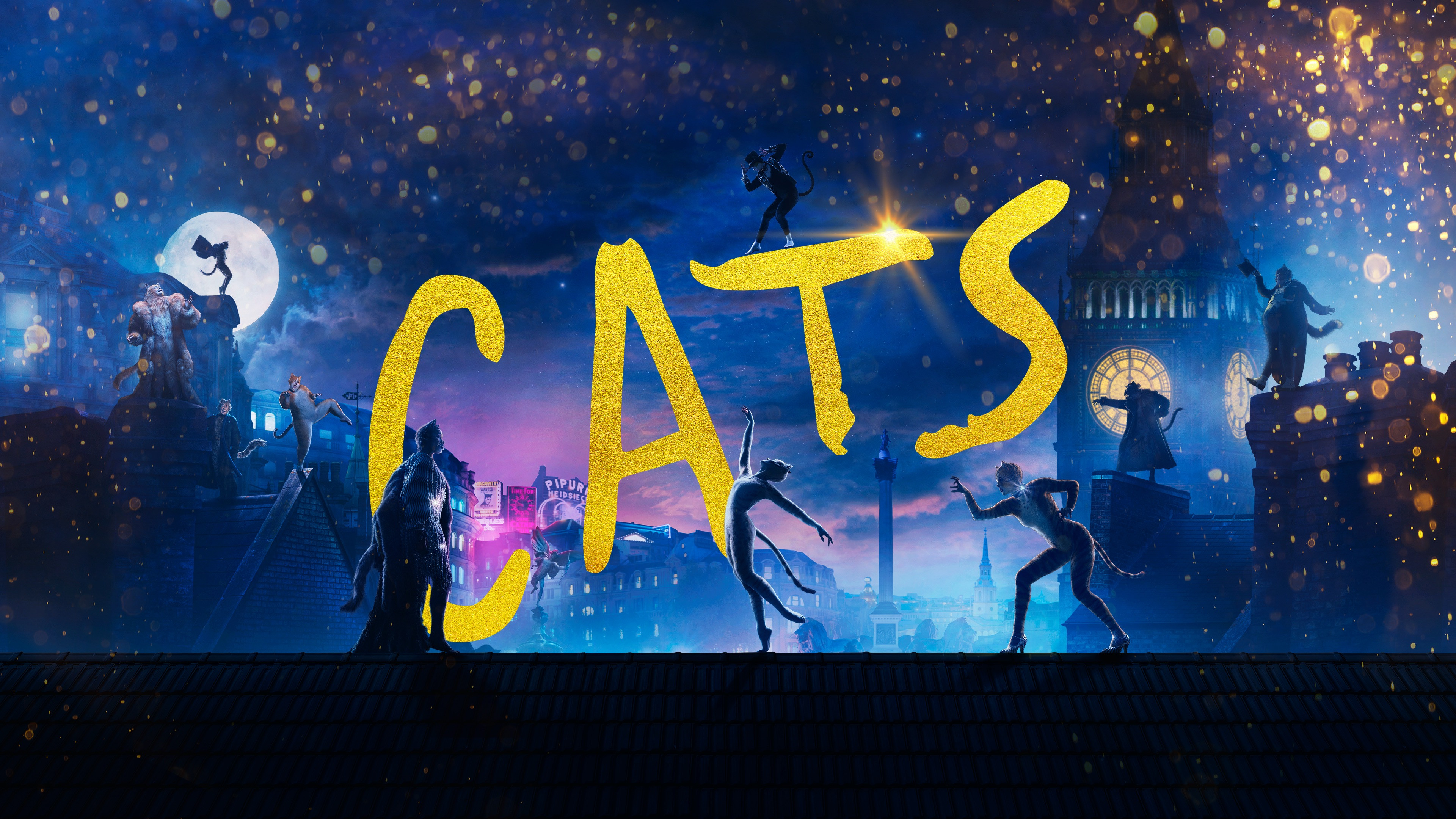 Cats scene photo