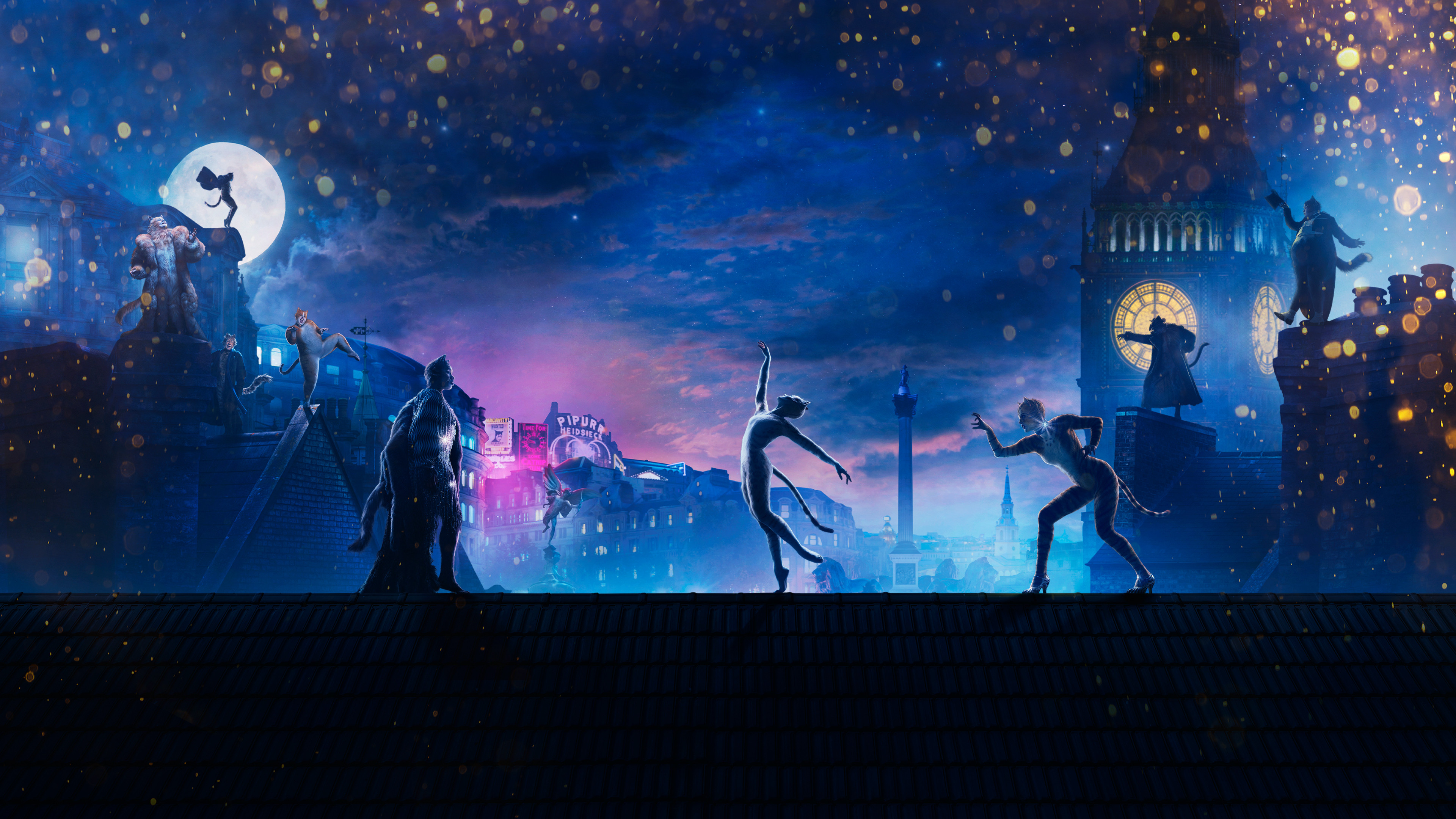 Cats scene photo