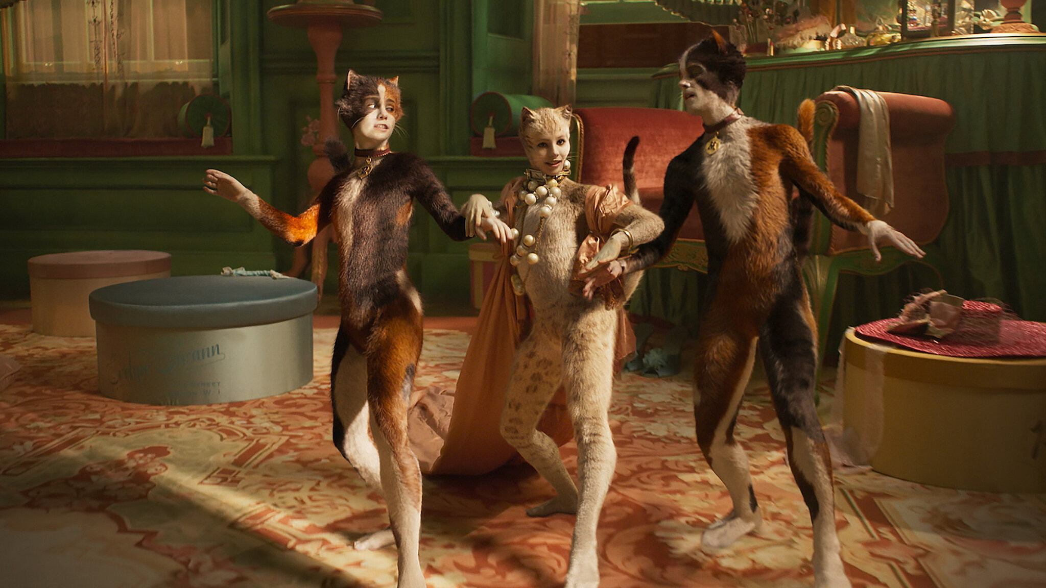 Cats scene photo