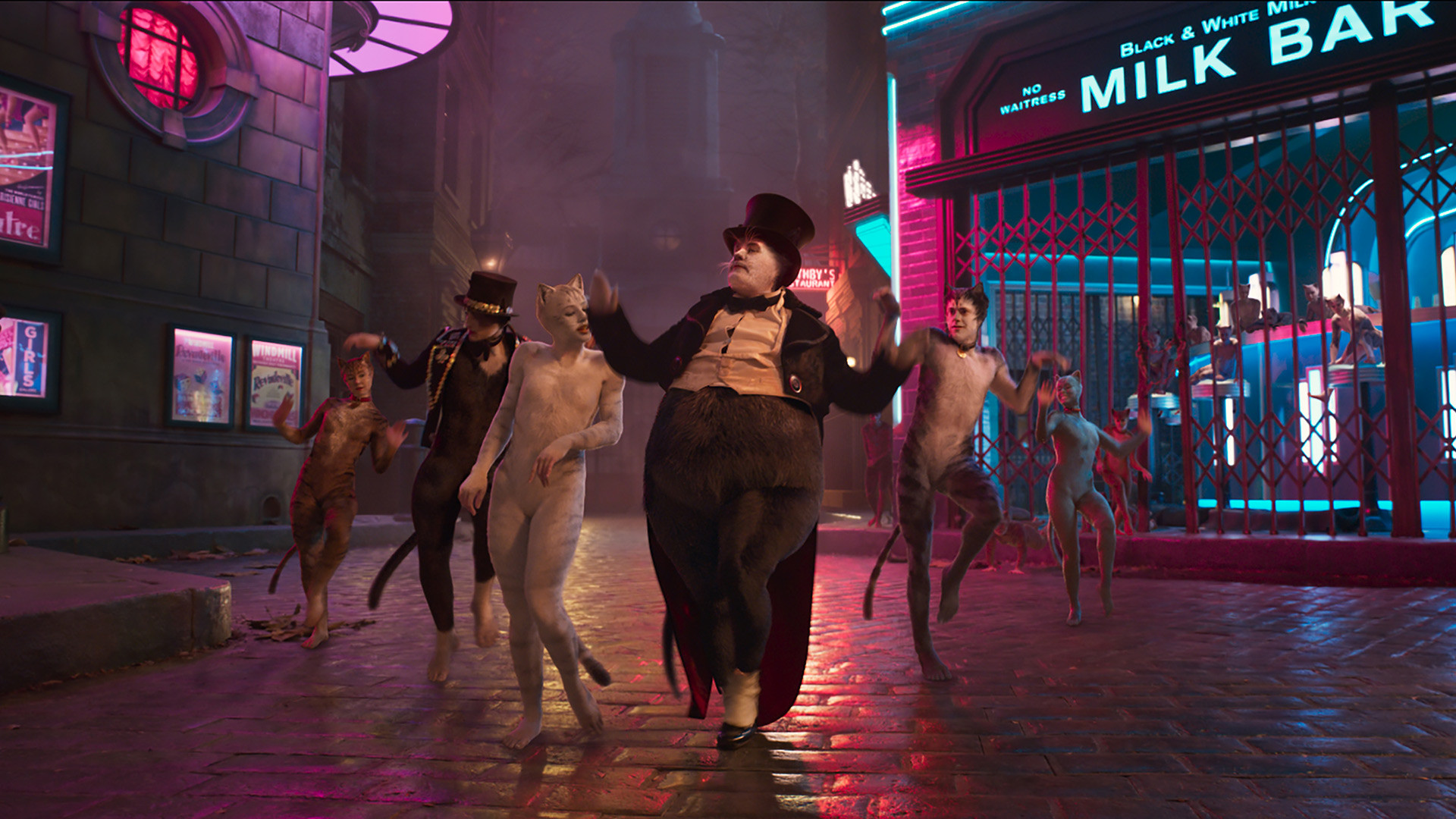 Cats scene photo