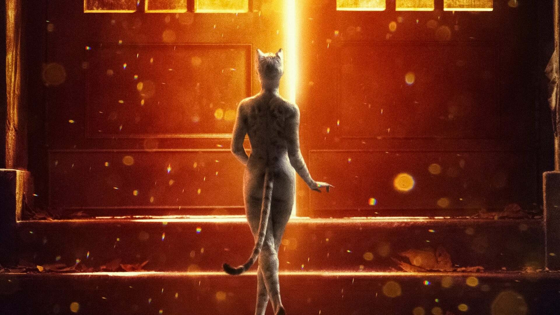 Cats scene photo