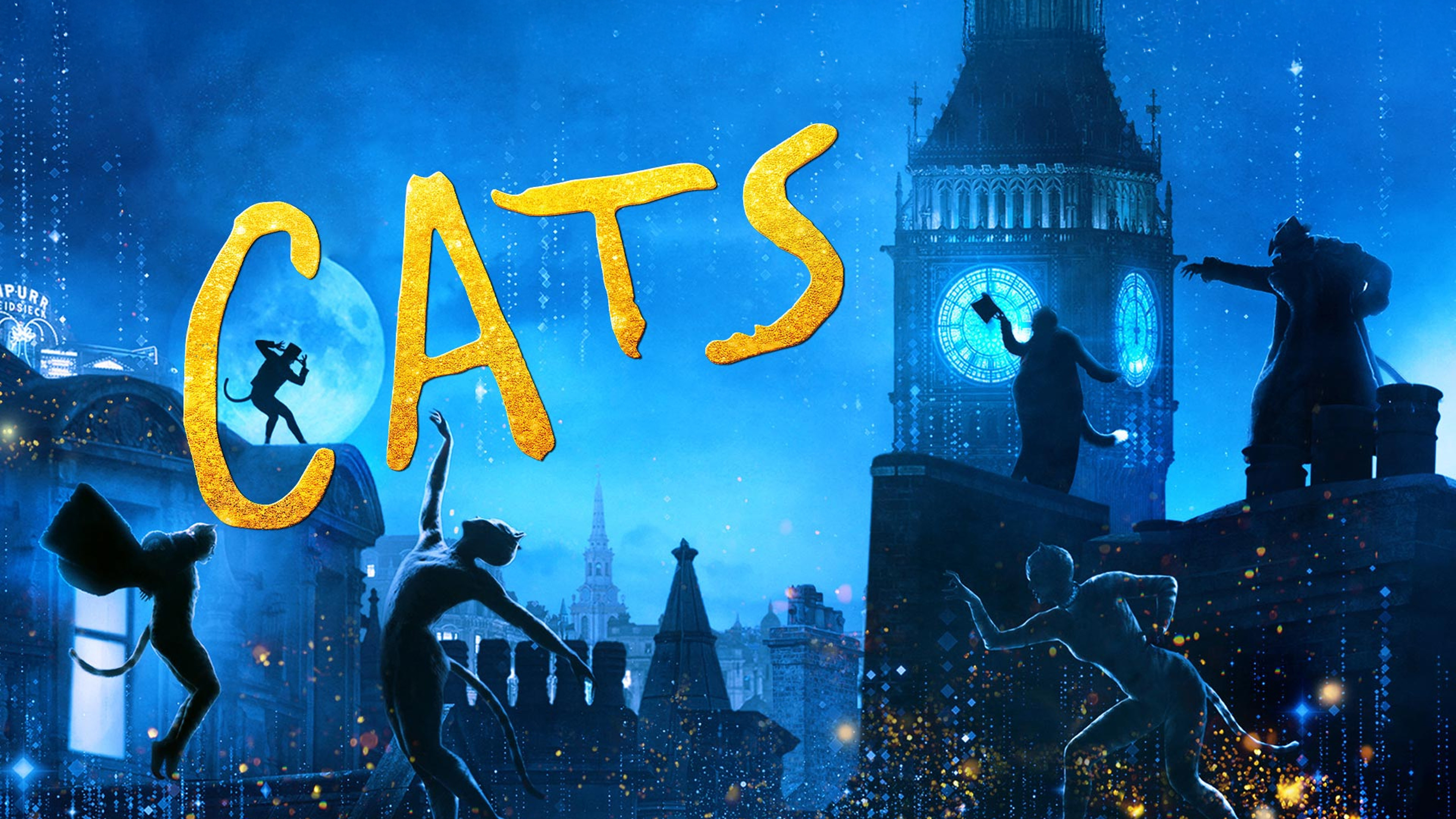 Cats scene photo