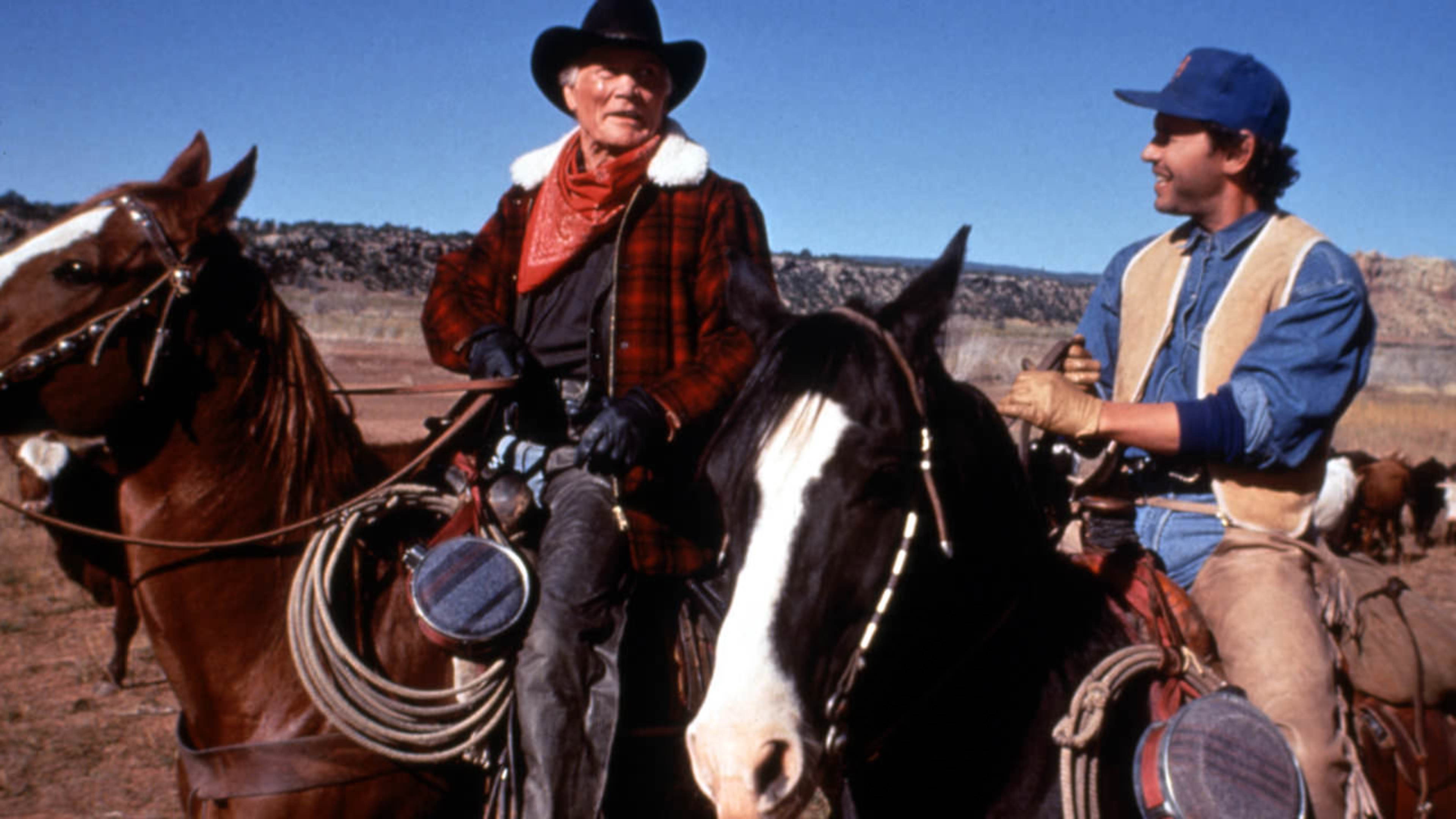 City Slickers II: The Legend of Curly's Gold scene photo