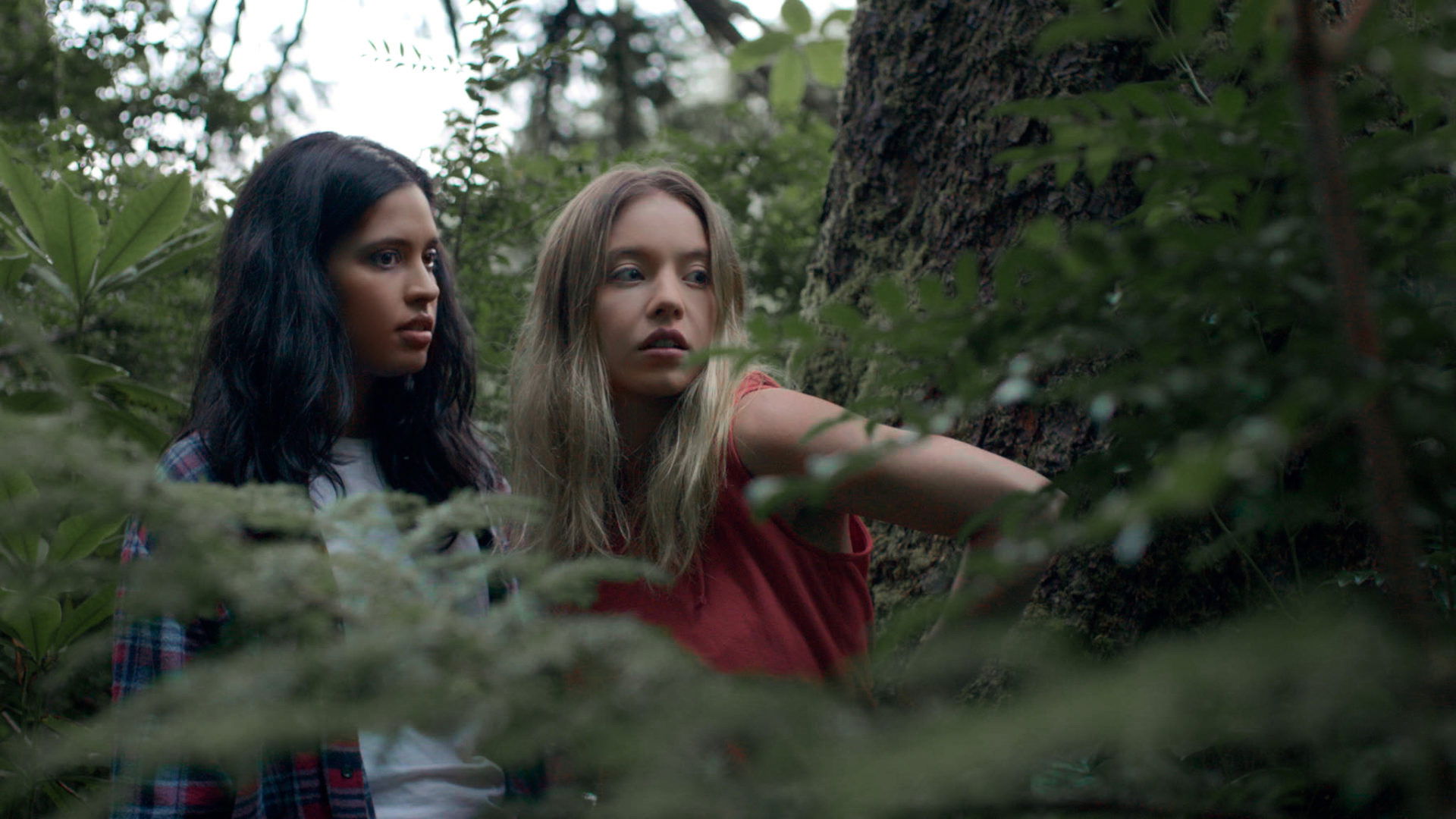 Clementine scene photo
