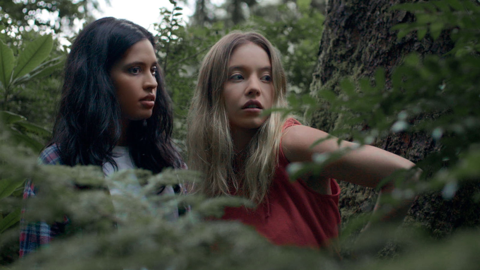 Clementine scene photo