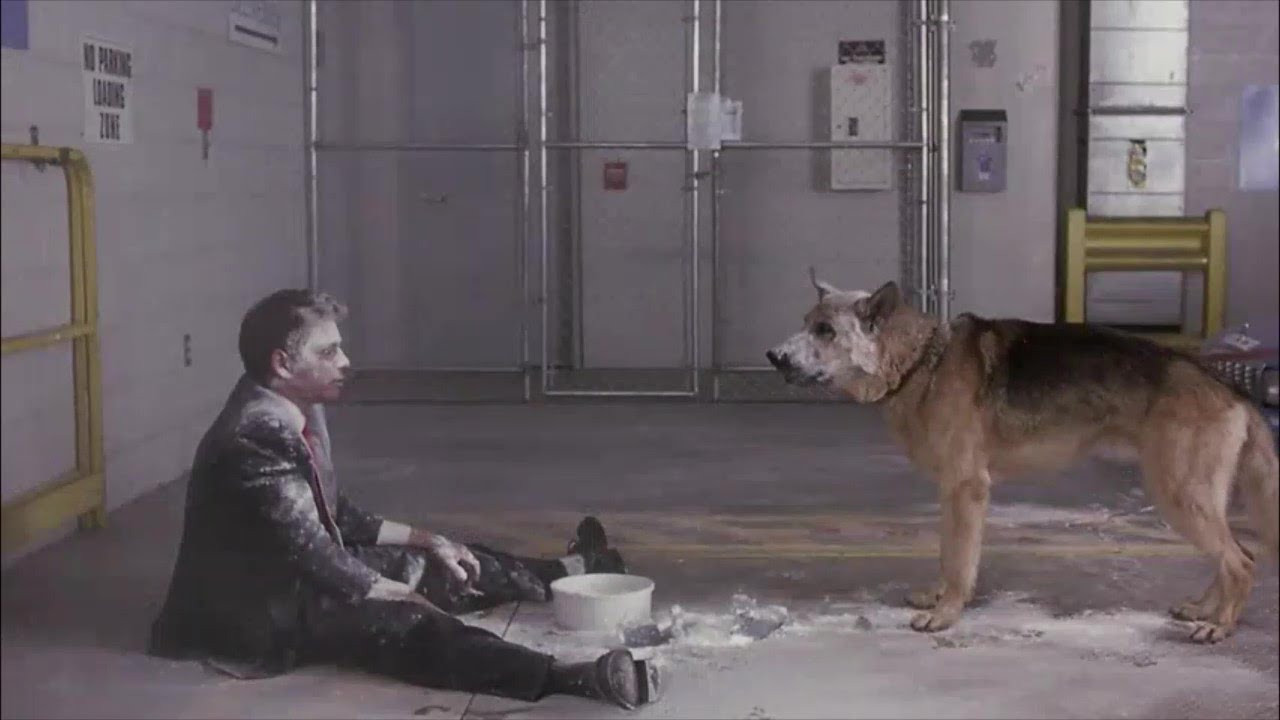 Corky Romano scene photo