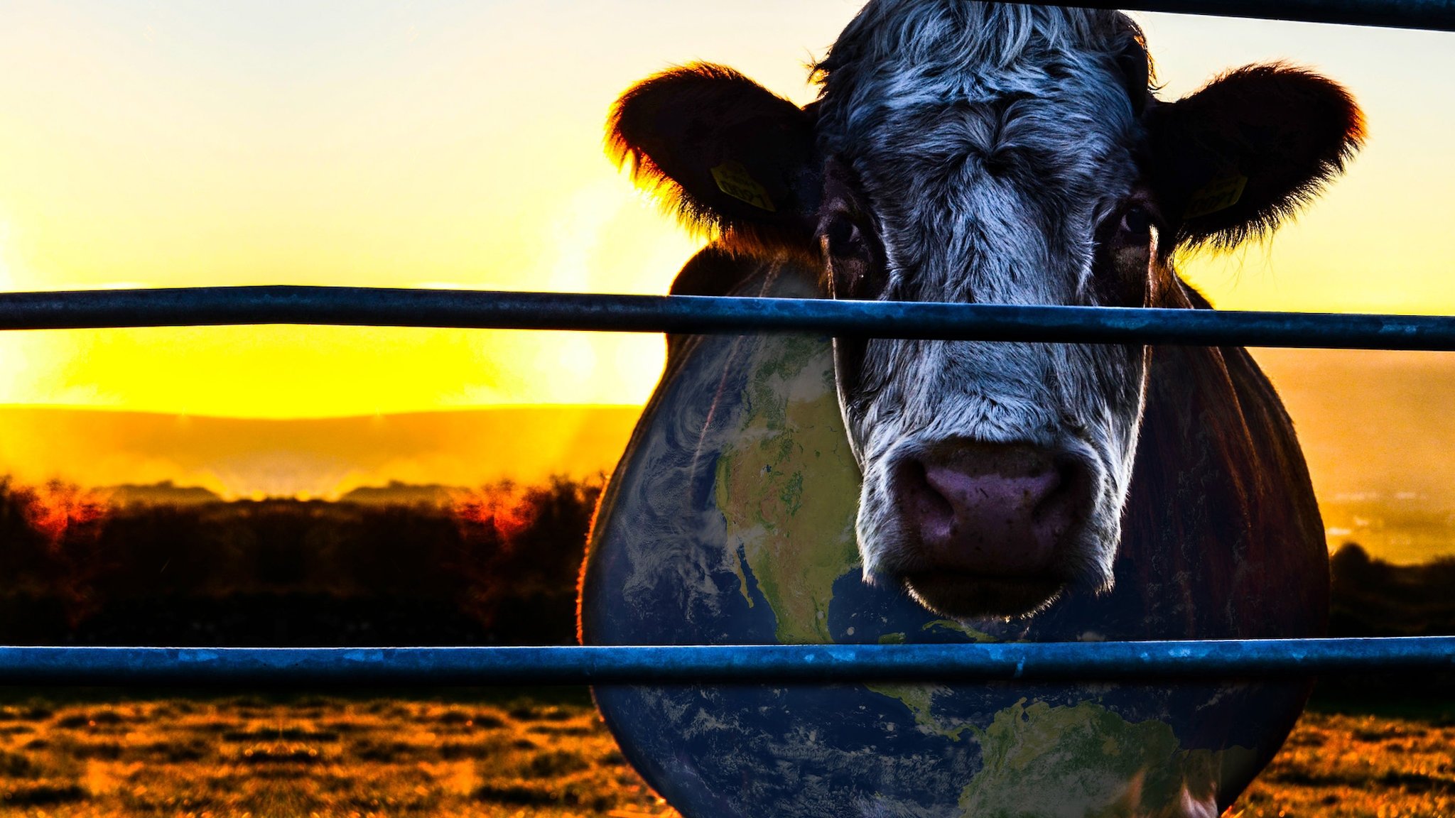 Cowspiracy: The Sustainability Secret scene photo