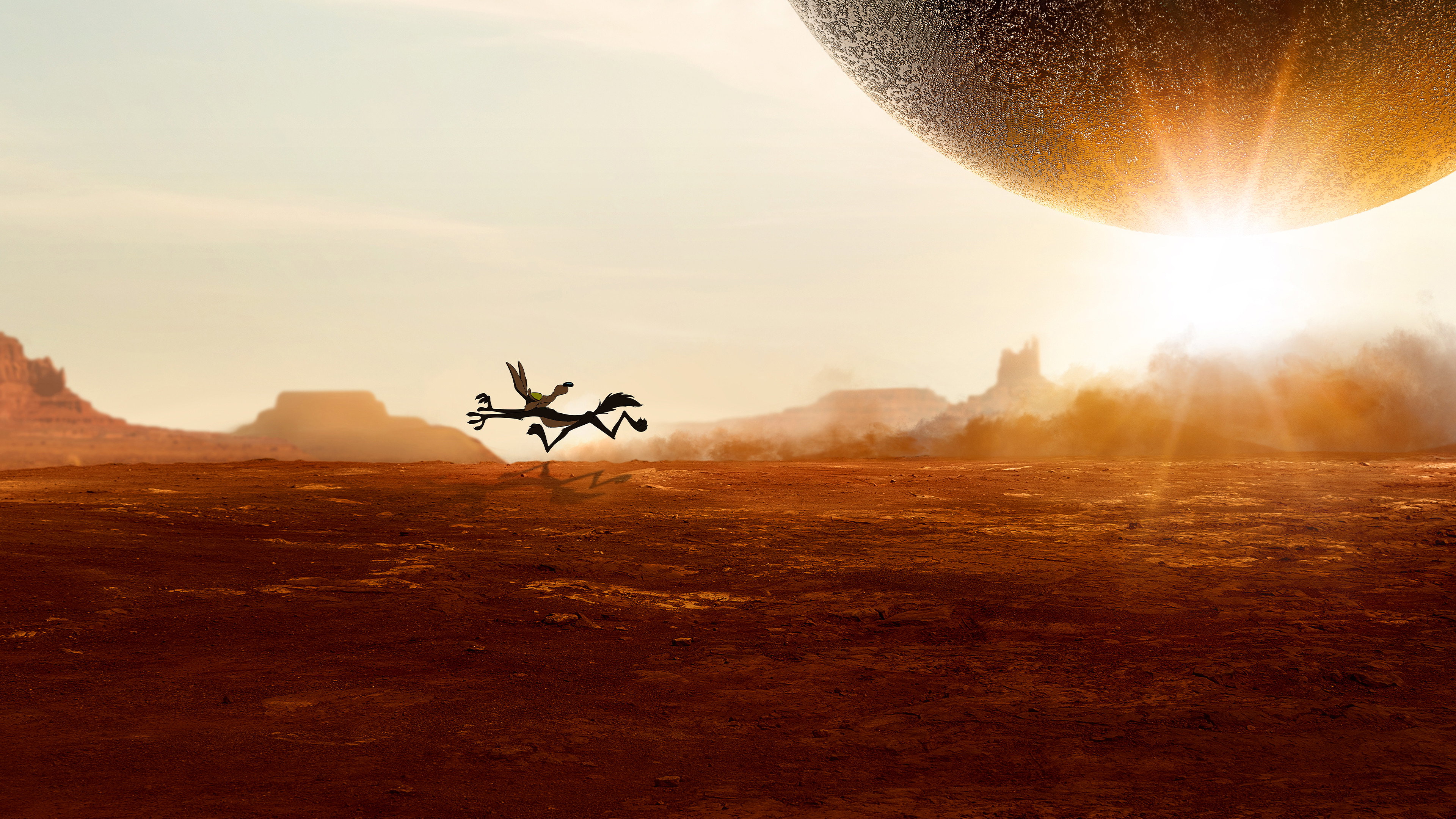 Coyote vs. Acme scene photo