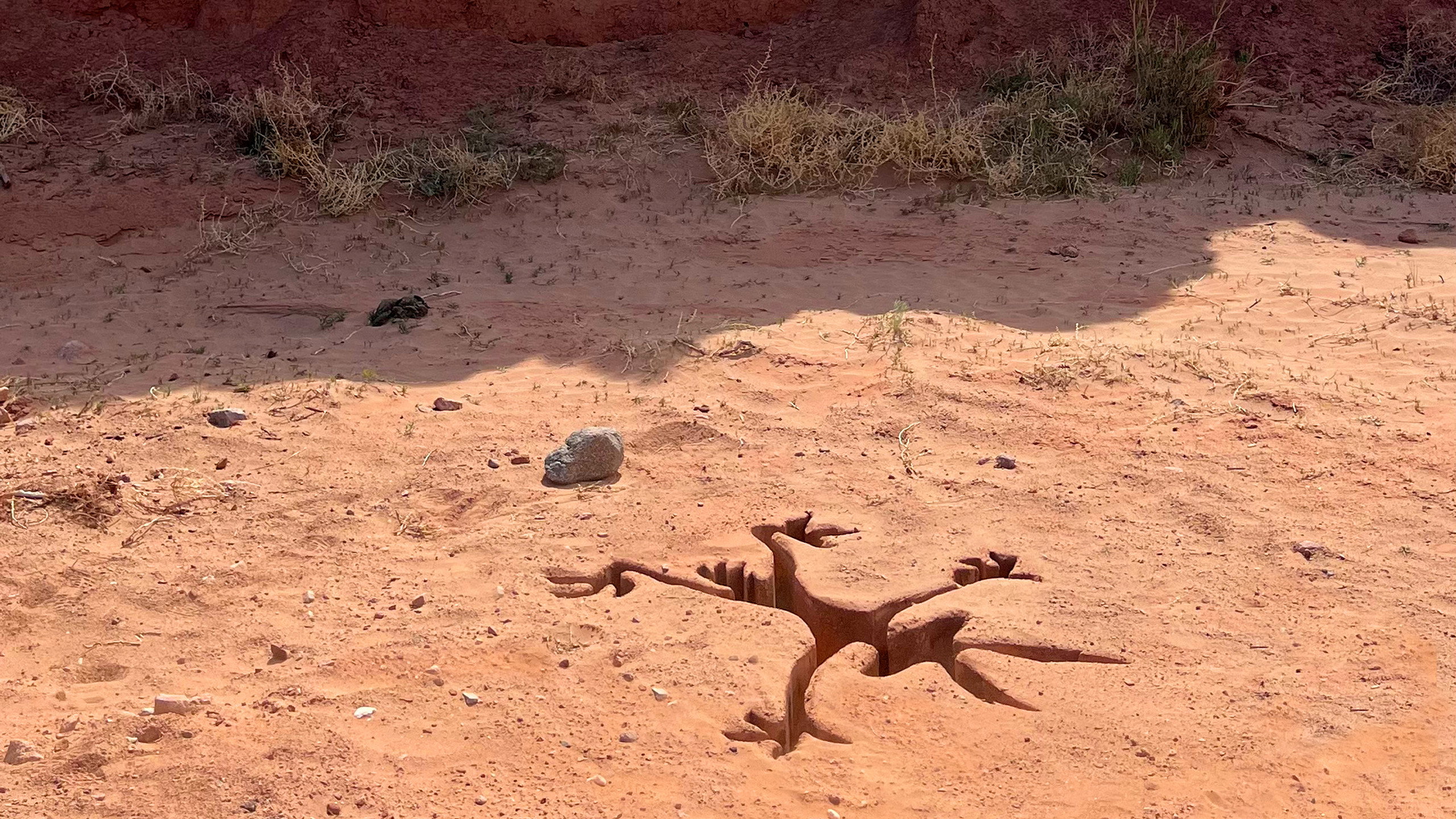 Coyote vs. Acme scene photo