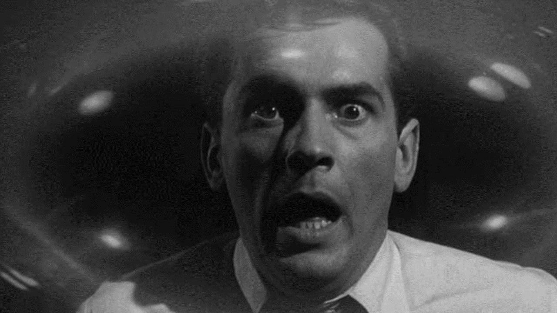 Cult of the Cobra scene photo
