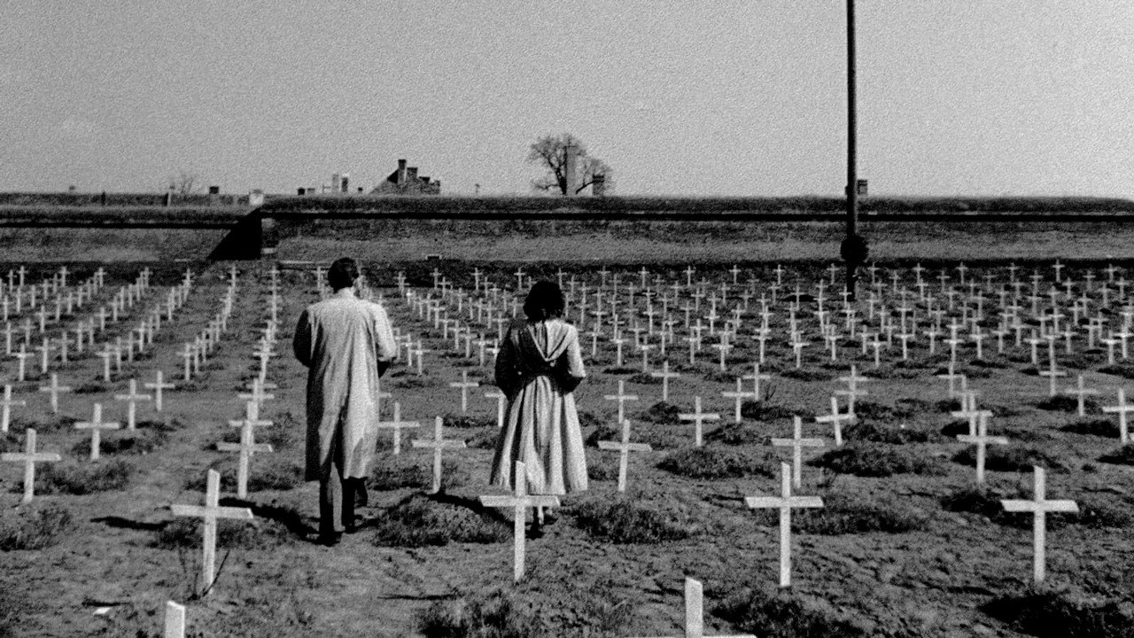 Daleká cesta scene photo