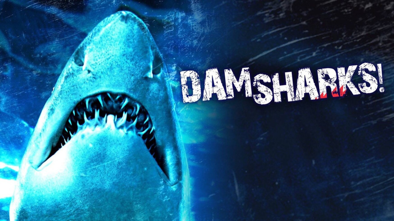 Dam Sharks scene photo
