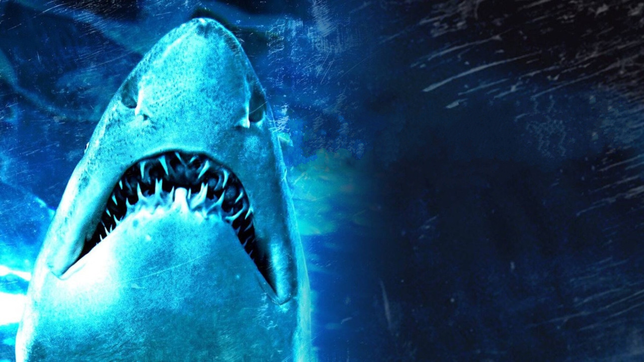 Dam Sharks scene photo