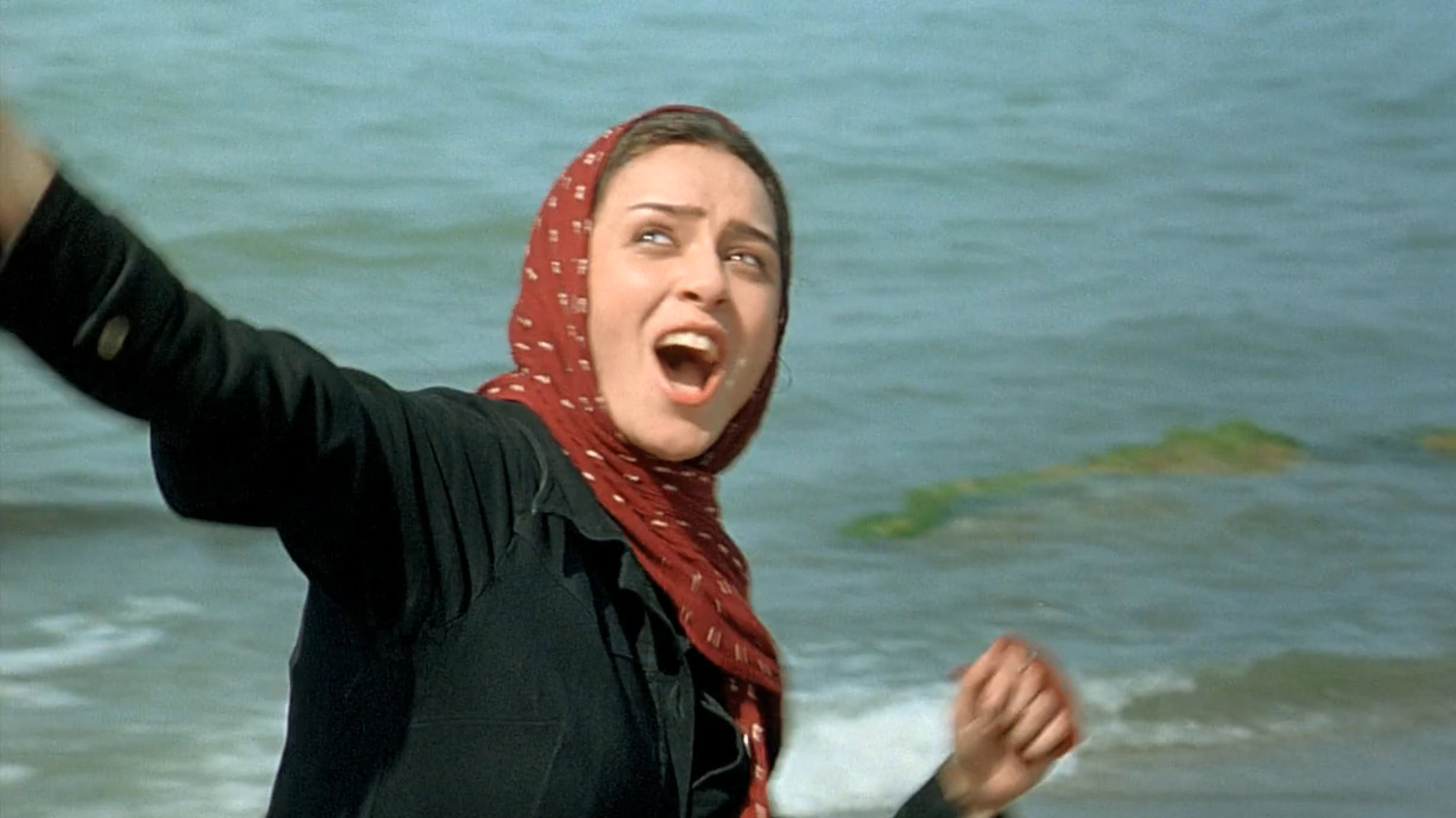 Darbareye Elly scene photo