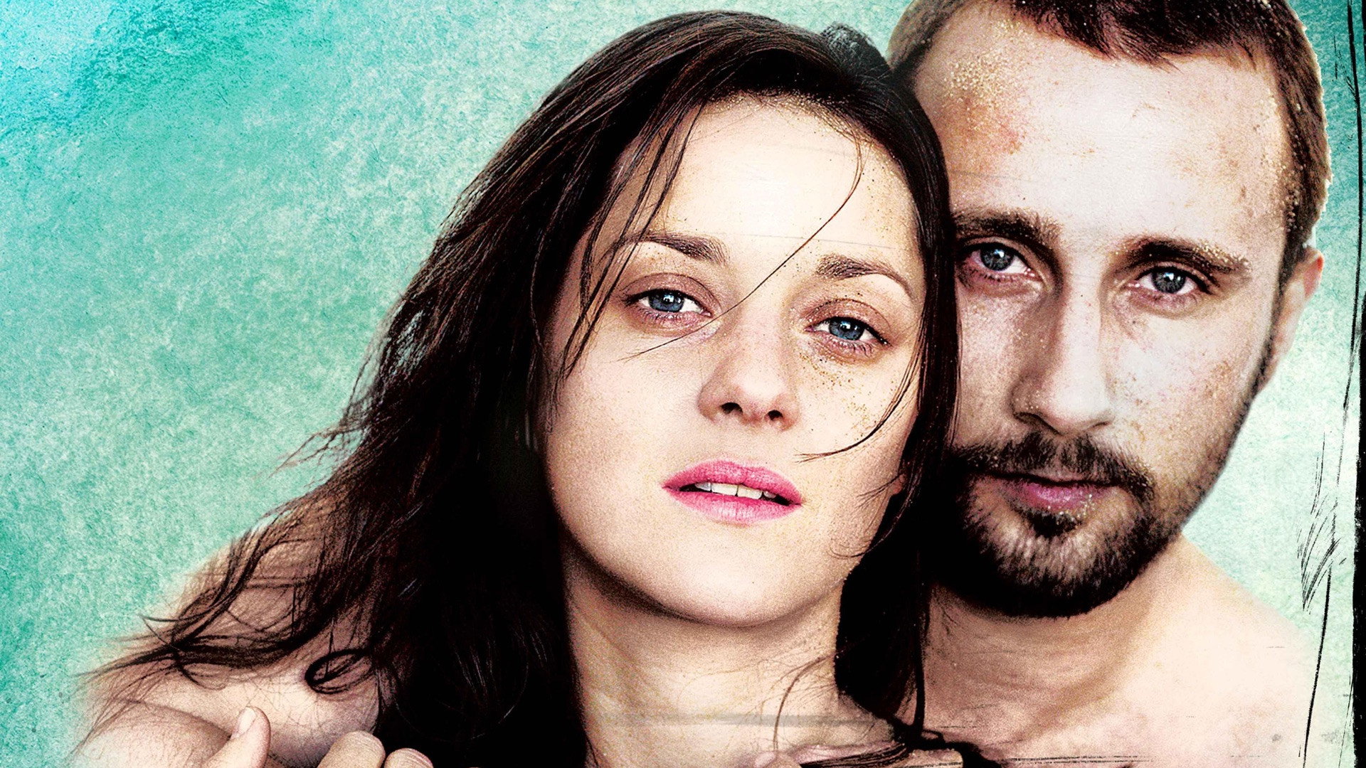 De rouille et d'os scene photo