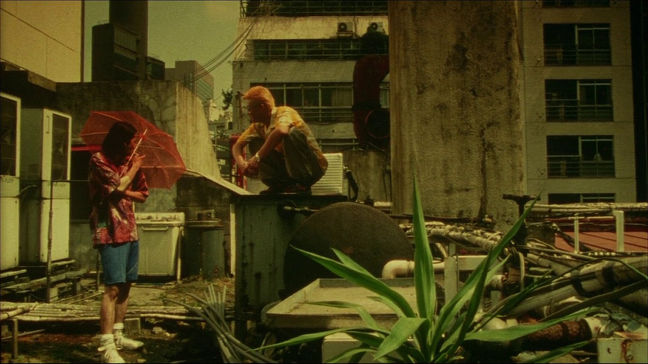 Dead or Alive 2: Tôbôsha scene photo