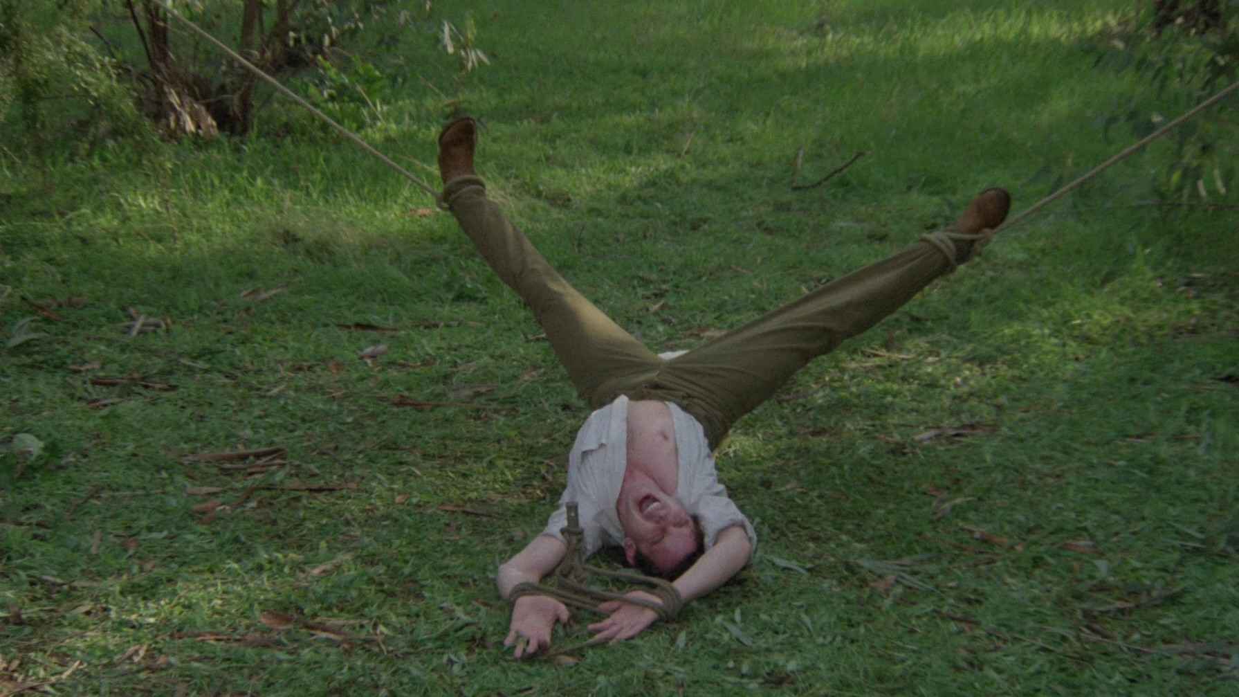 Demonia scene photo