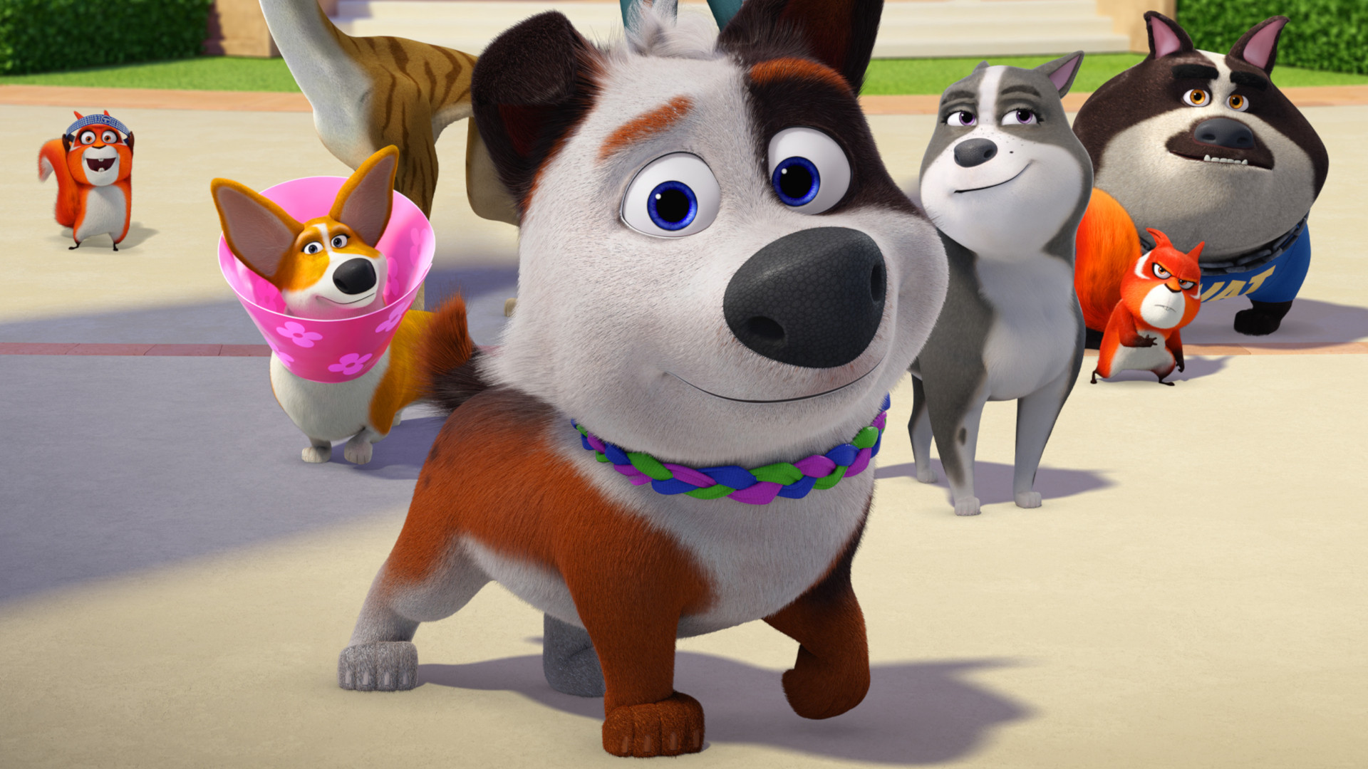 Dog Gone Trouble scene photo