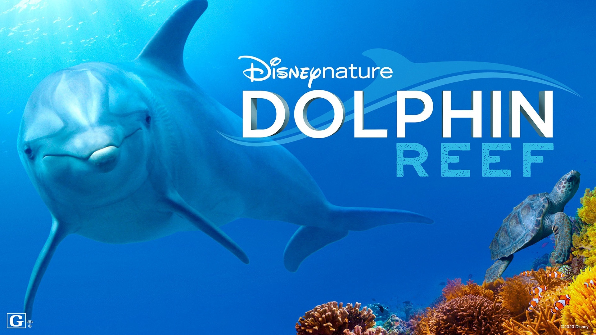 Dolphin Reef scene photo