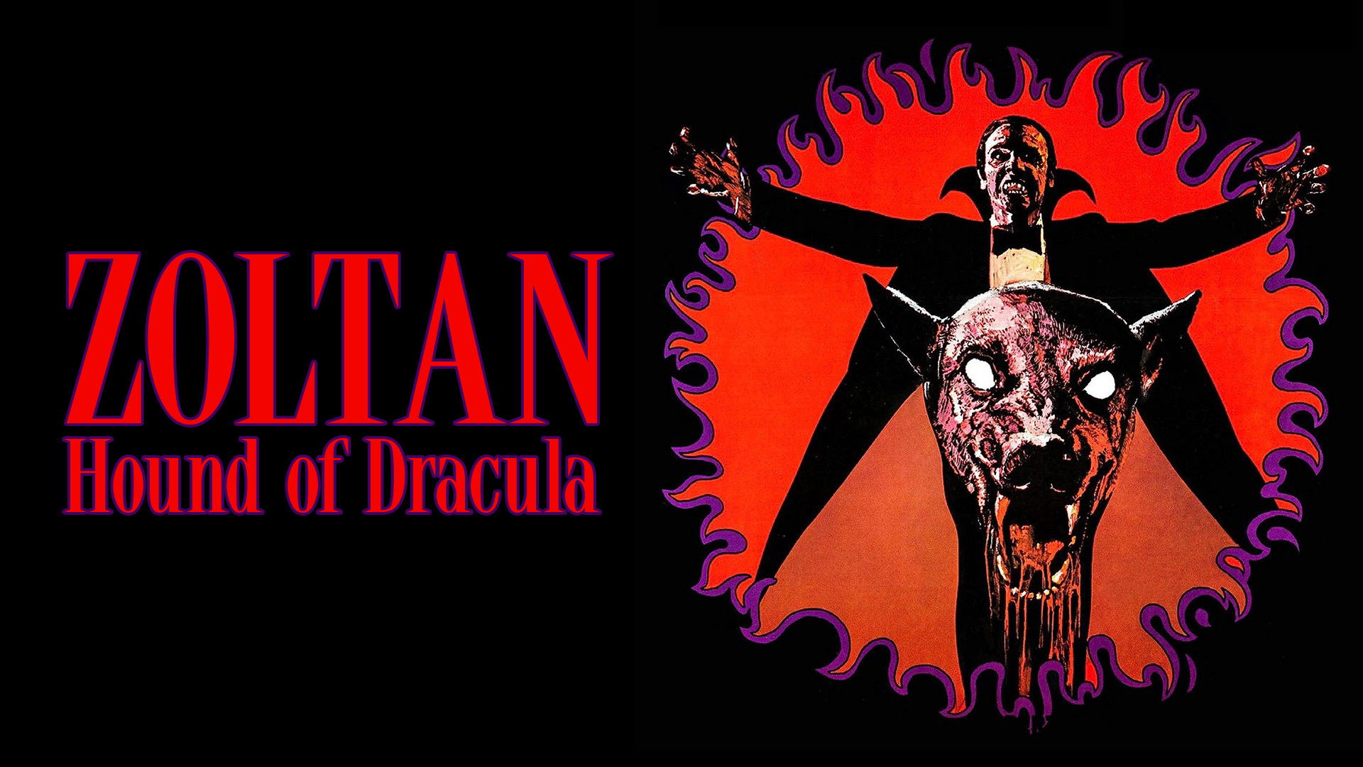 Dracula's Dog scene photo