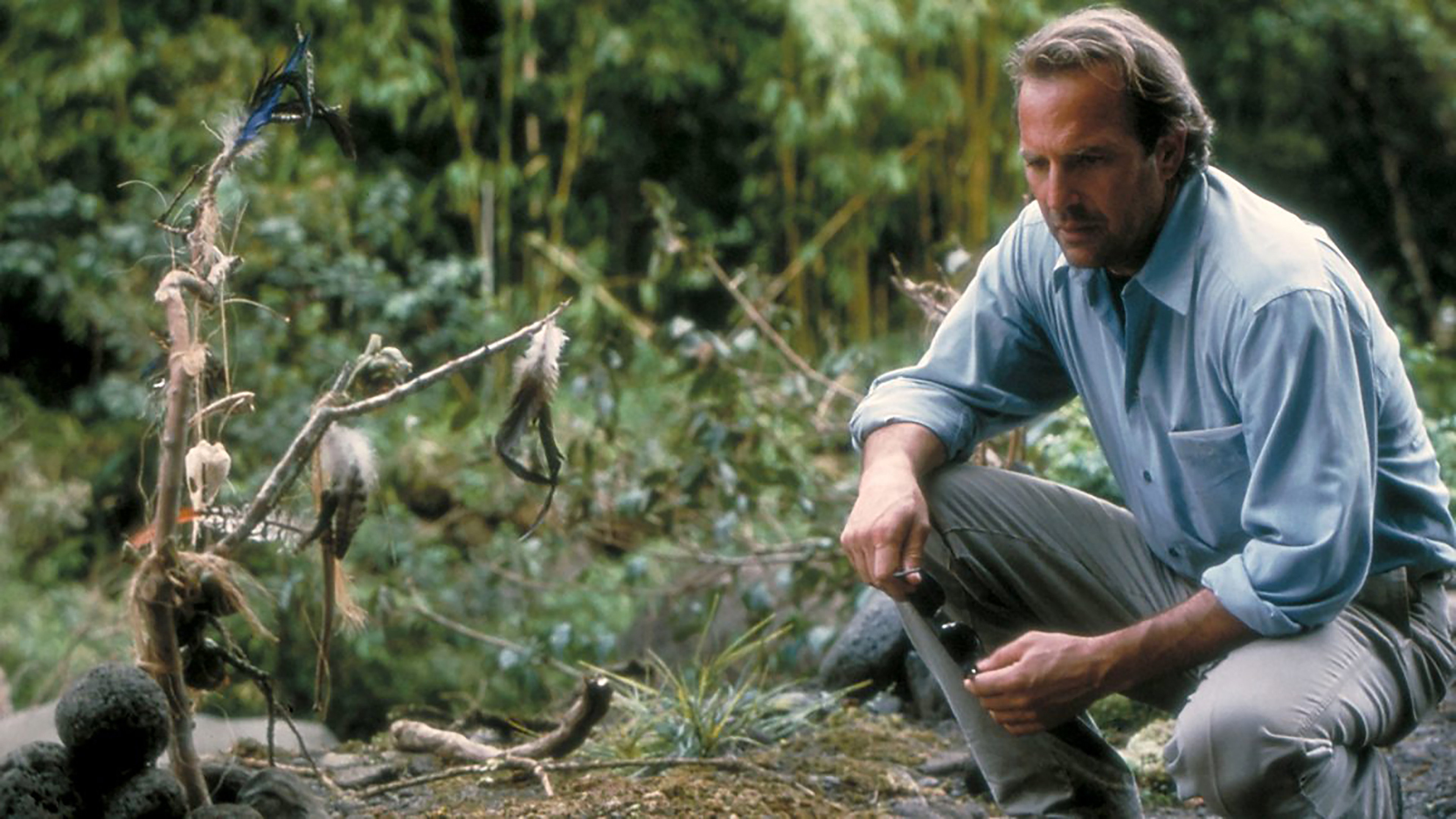 Dragonfly scene photo