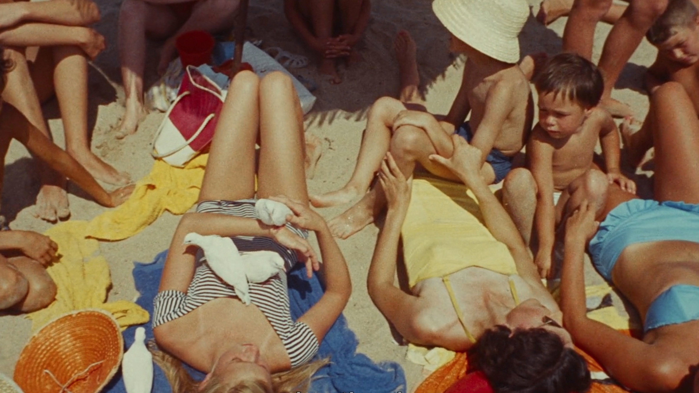 Du côté de la côte scene photo