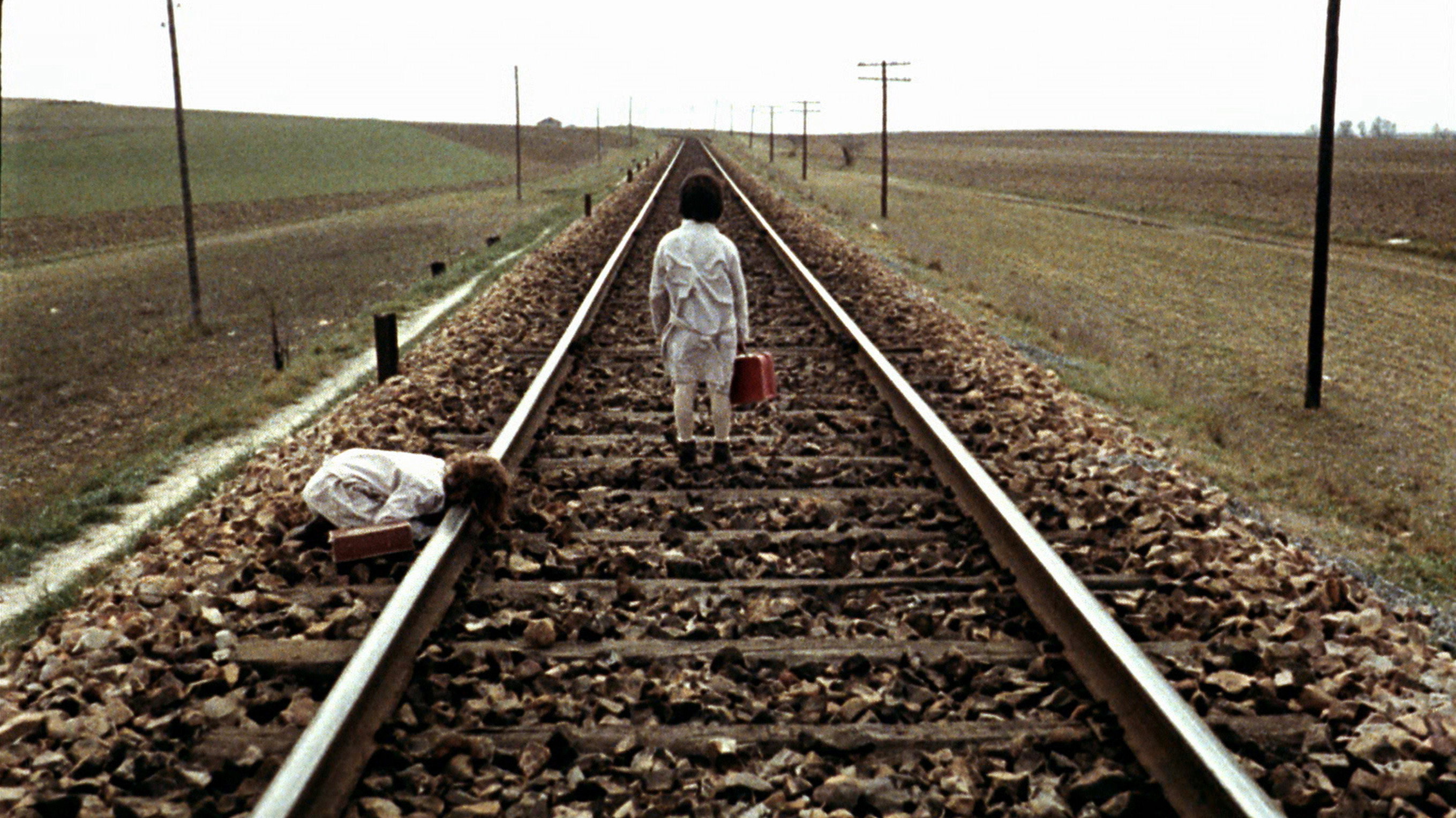 El espíritu de la colmena scene photo