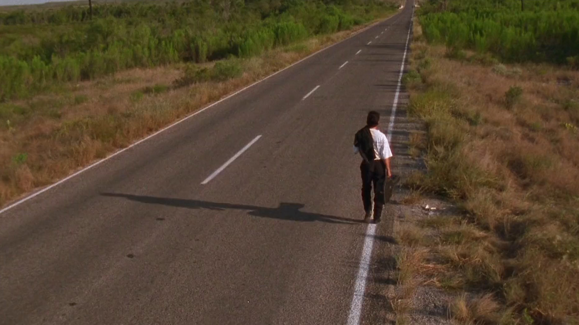 El mariachi scene photo