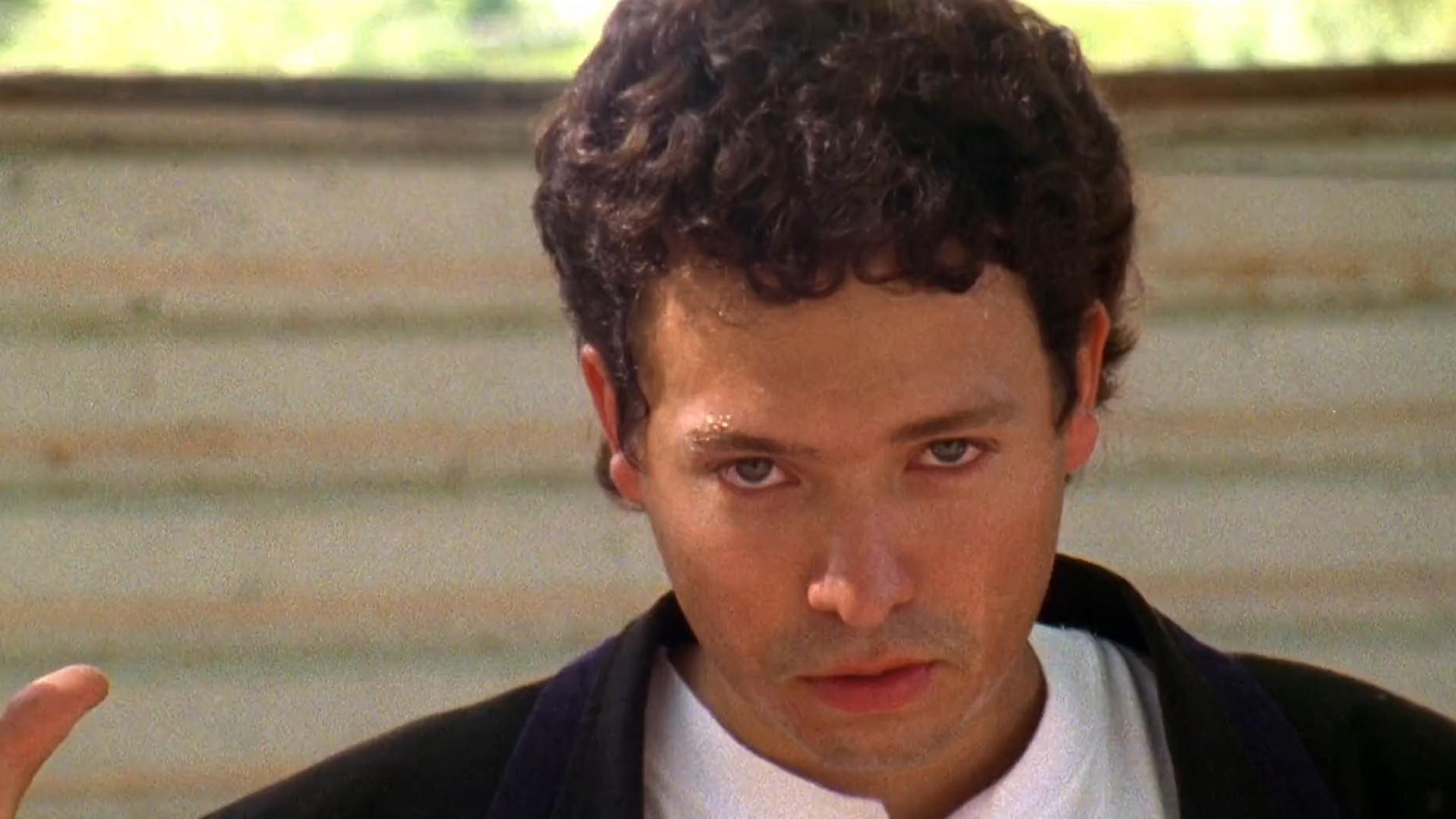 El mariachi scene photo