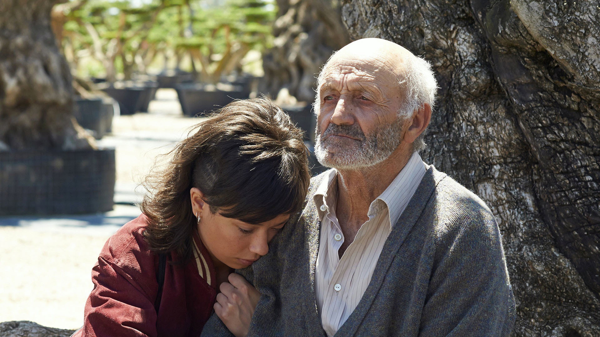El olivo scene photo