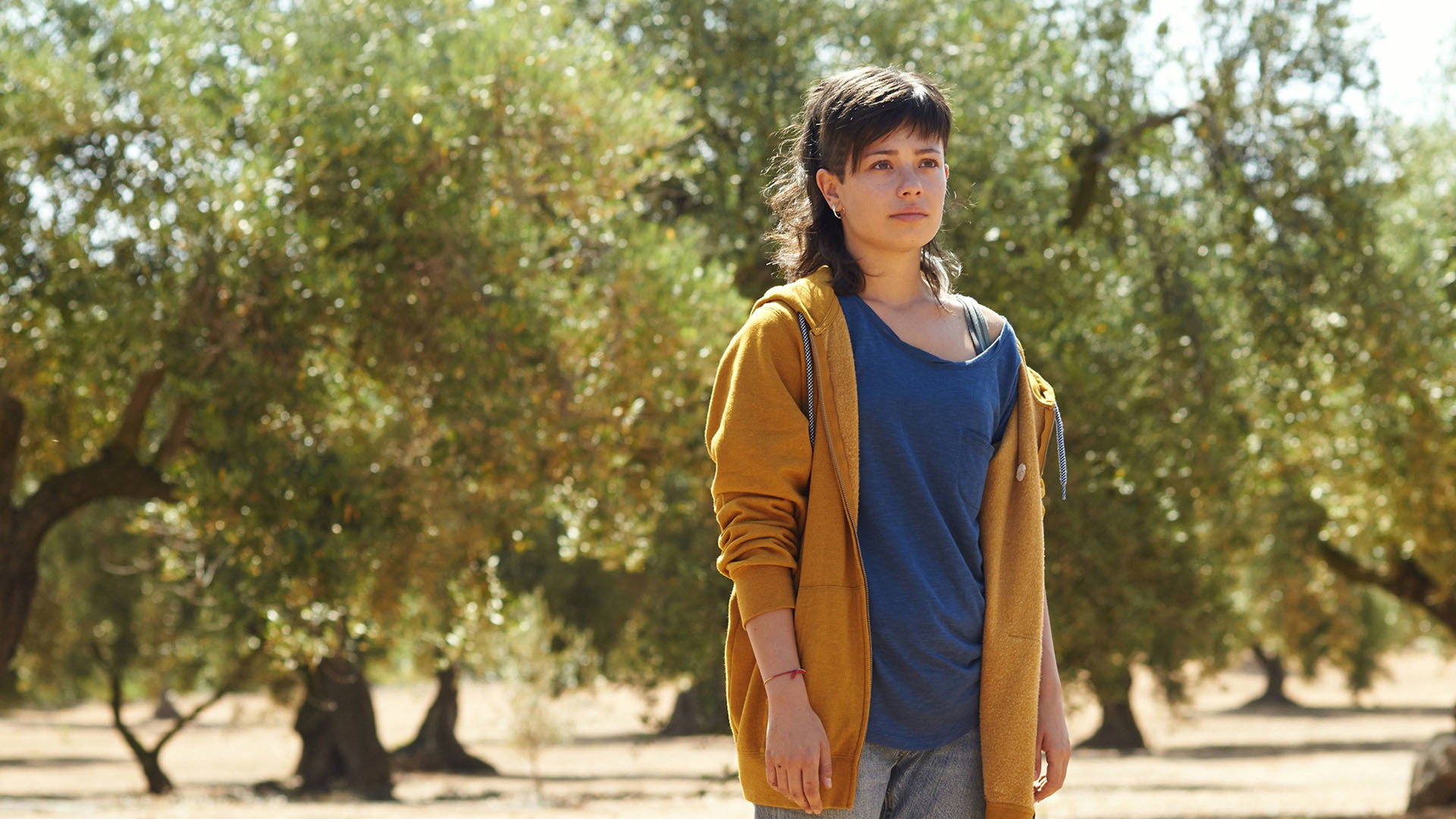 El olivo scene photo