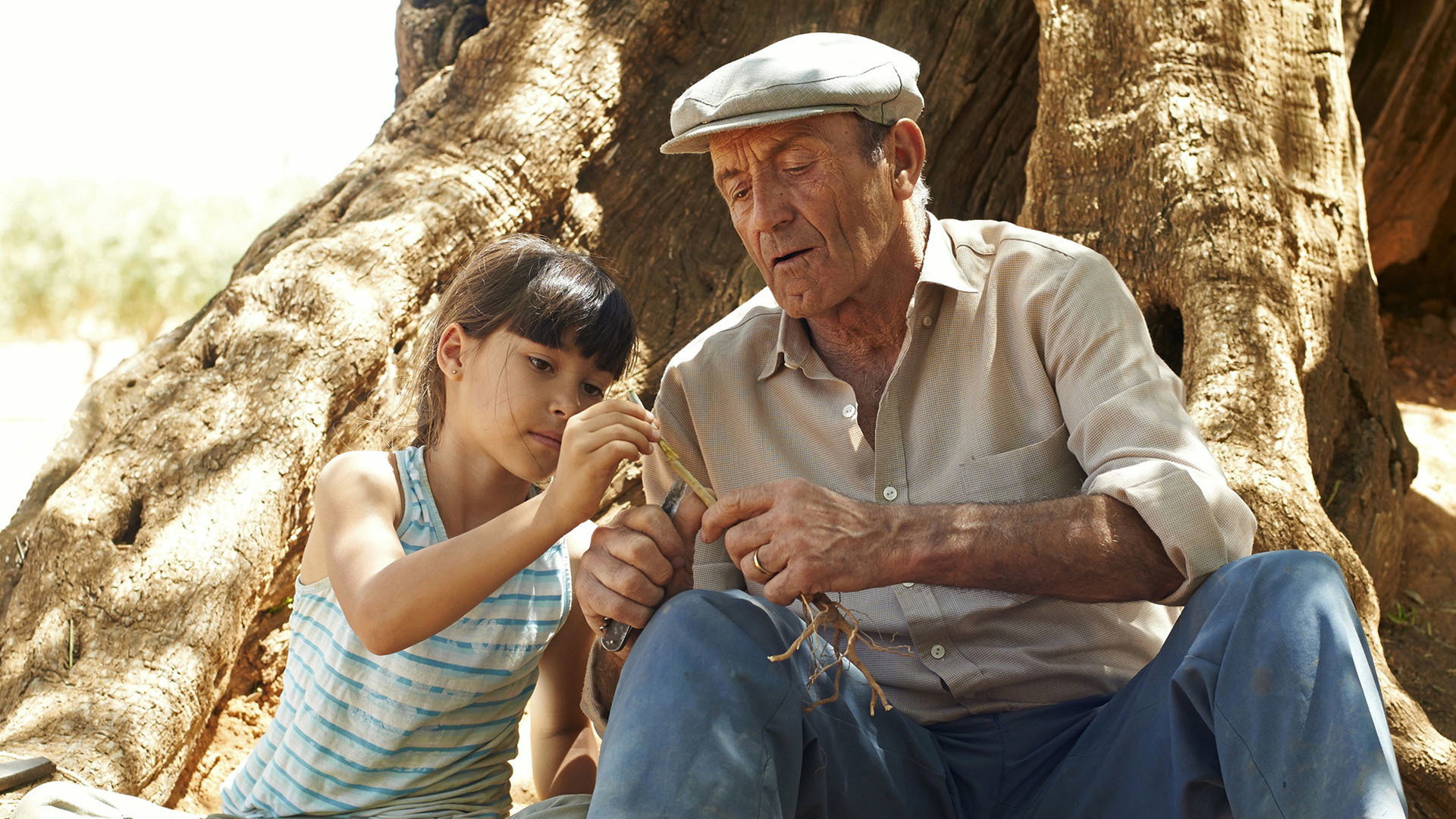 El olivo scene photo