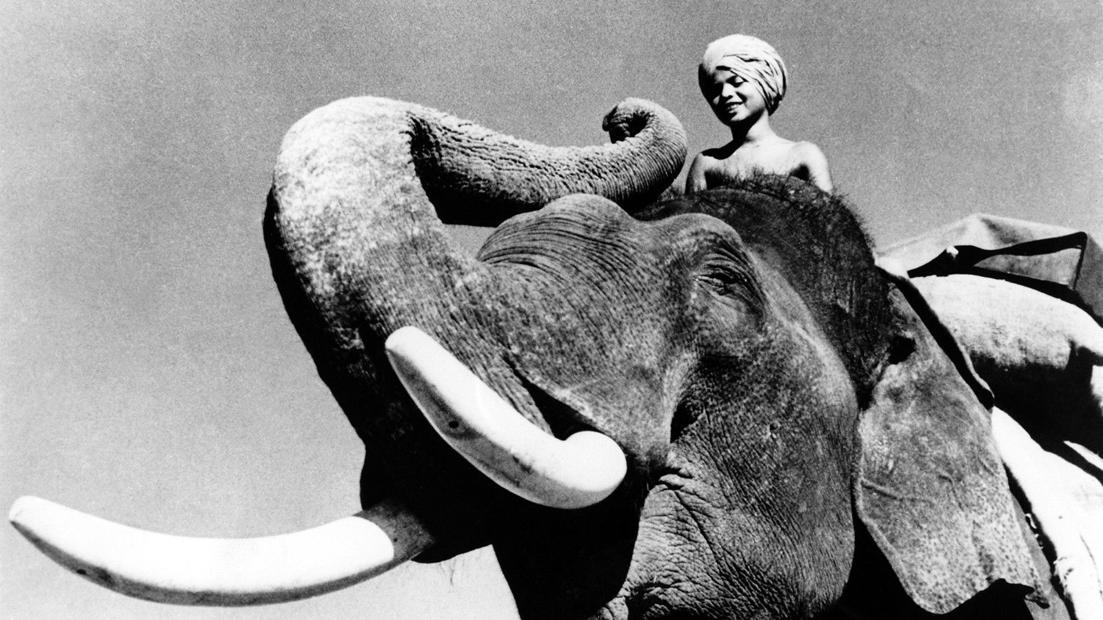 Elephant Boy scene photo