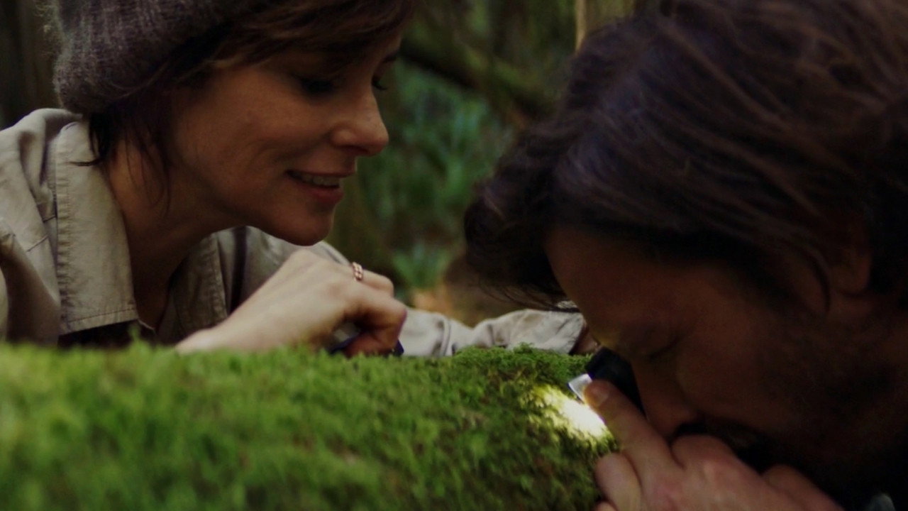 Elsewhere scene photo
