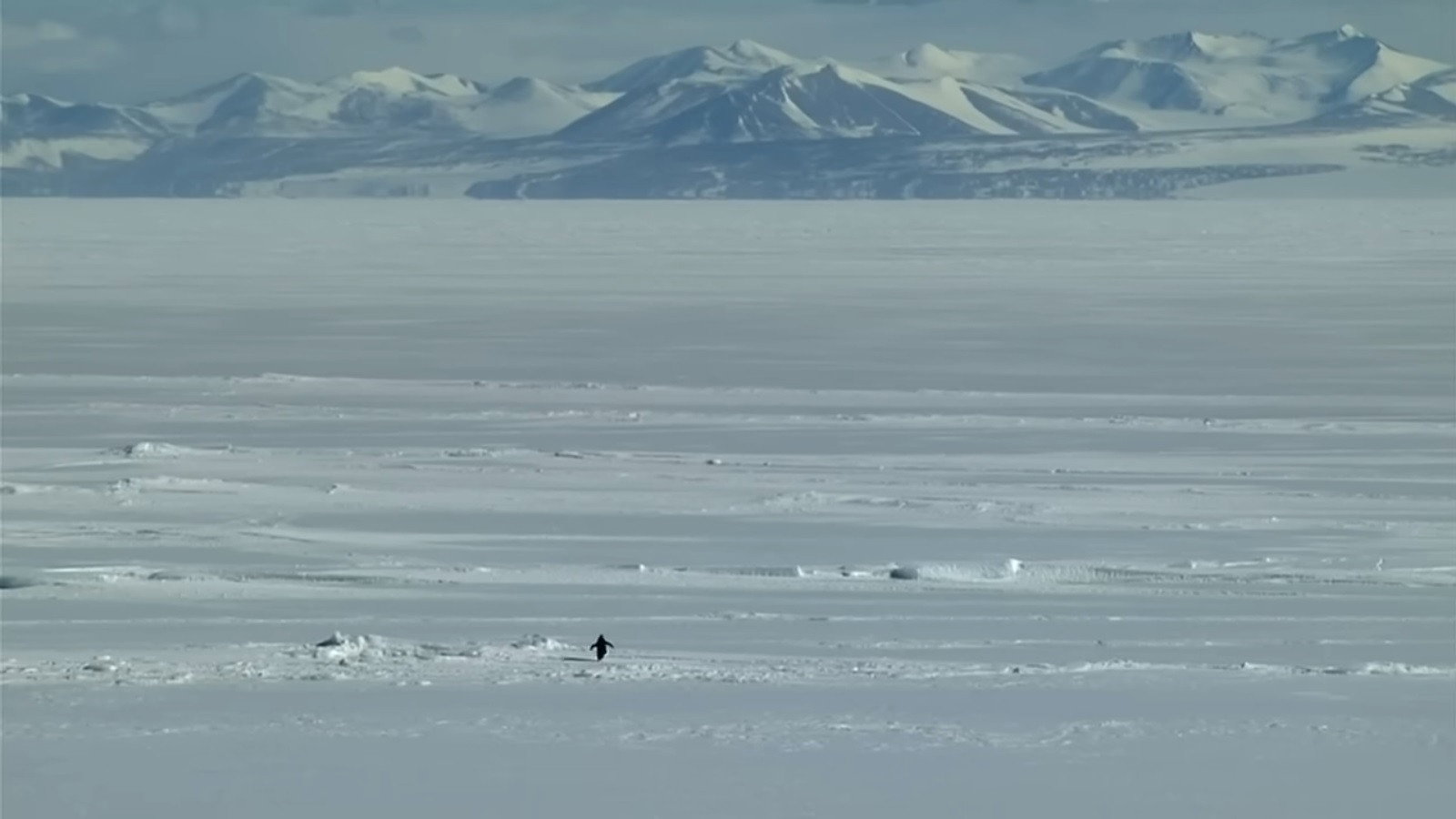 Encounters at the End of the World scene photo