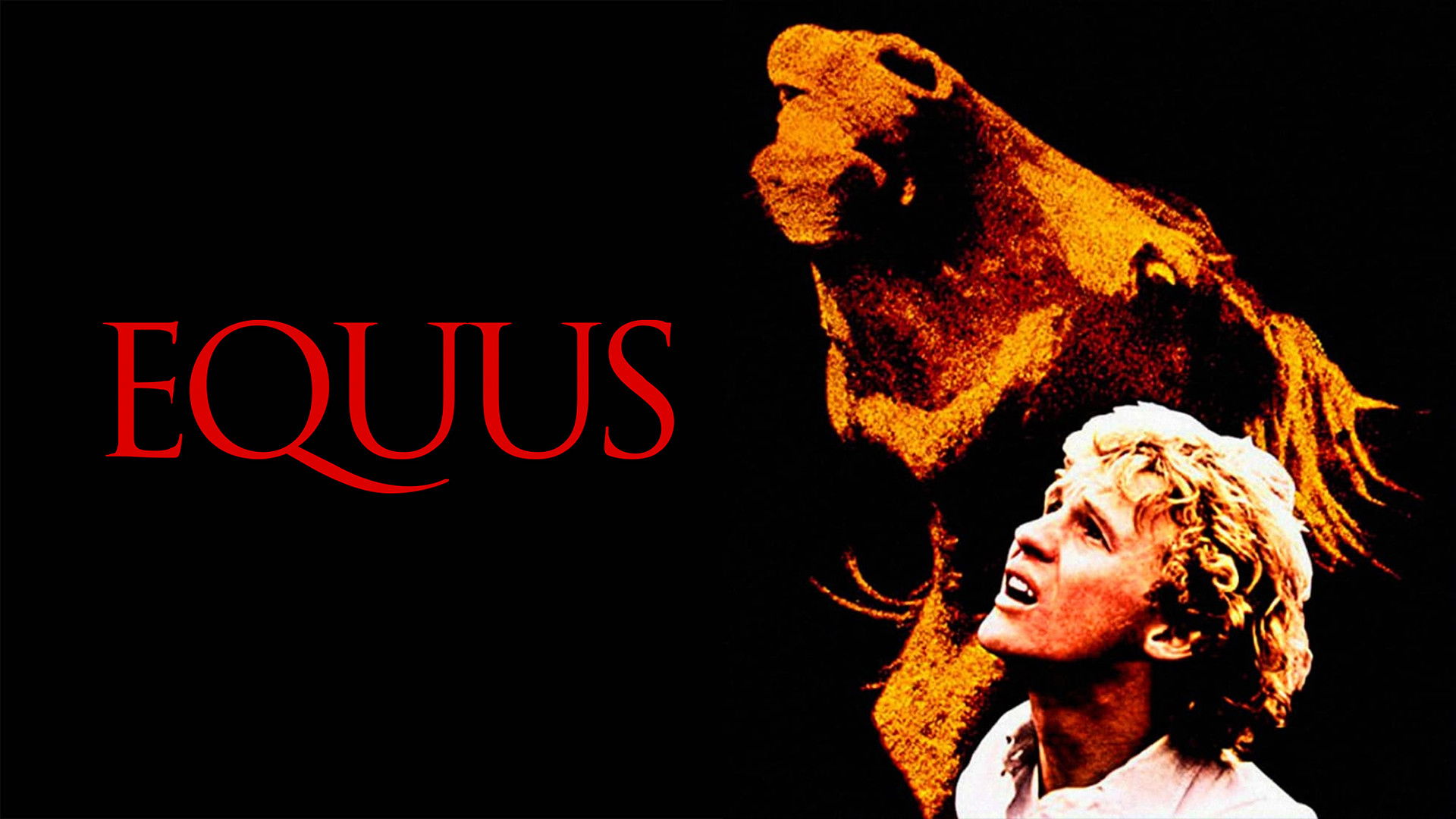 Equus scene photo
