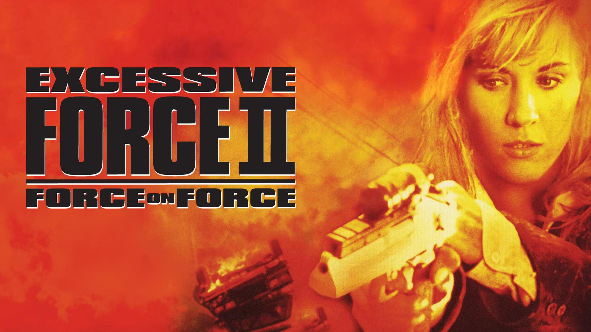 Excessive Force II: Force on Force scene photo