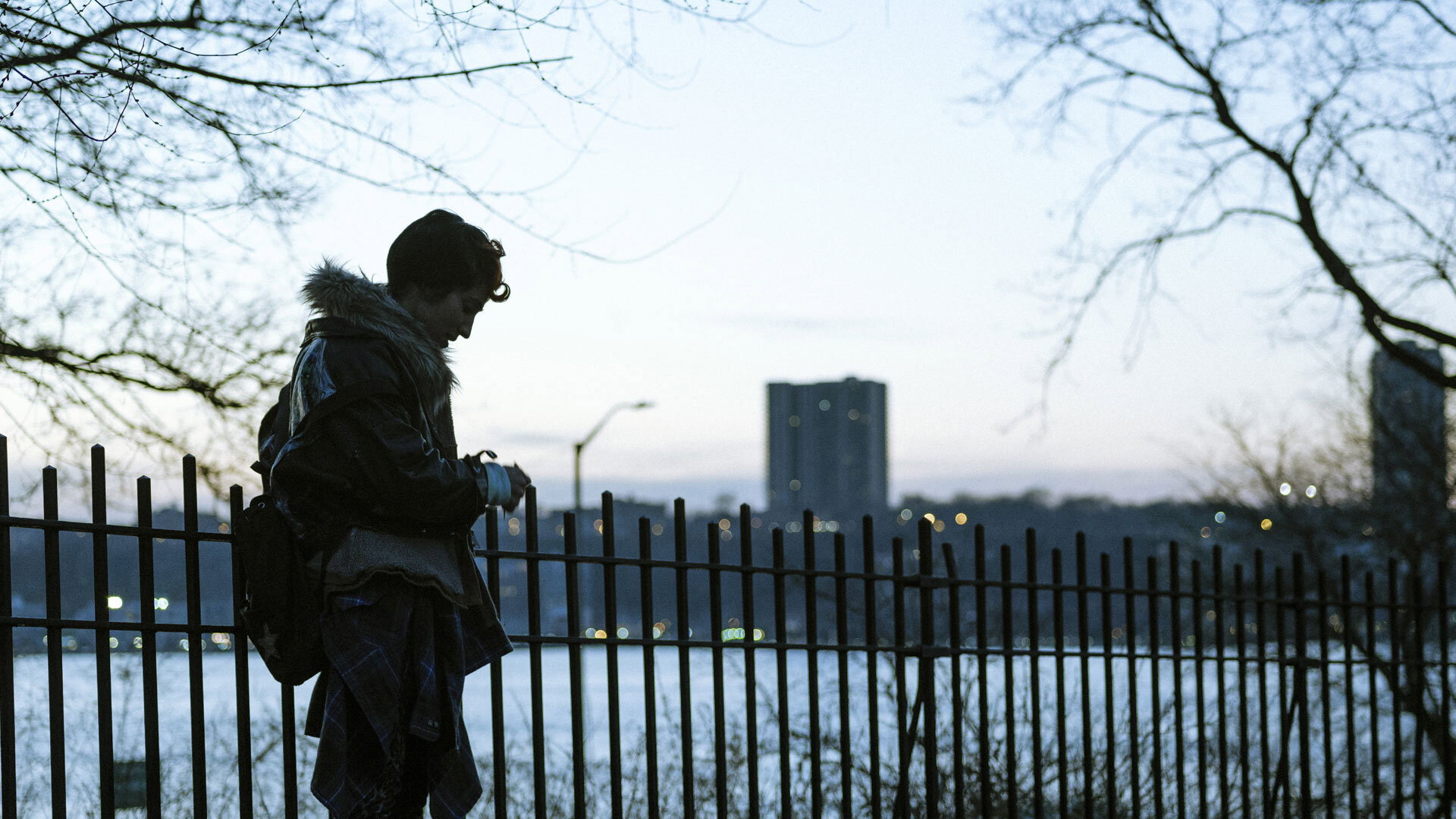 Feral scene photo