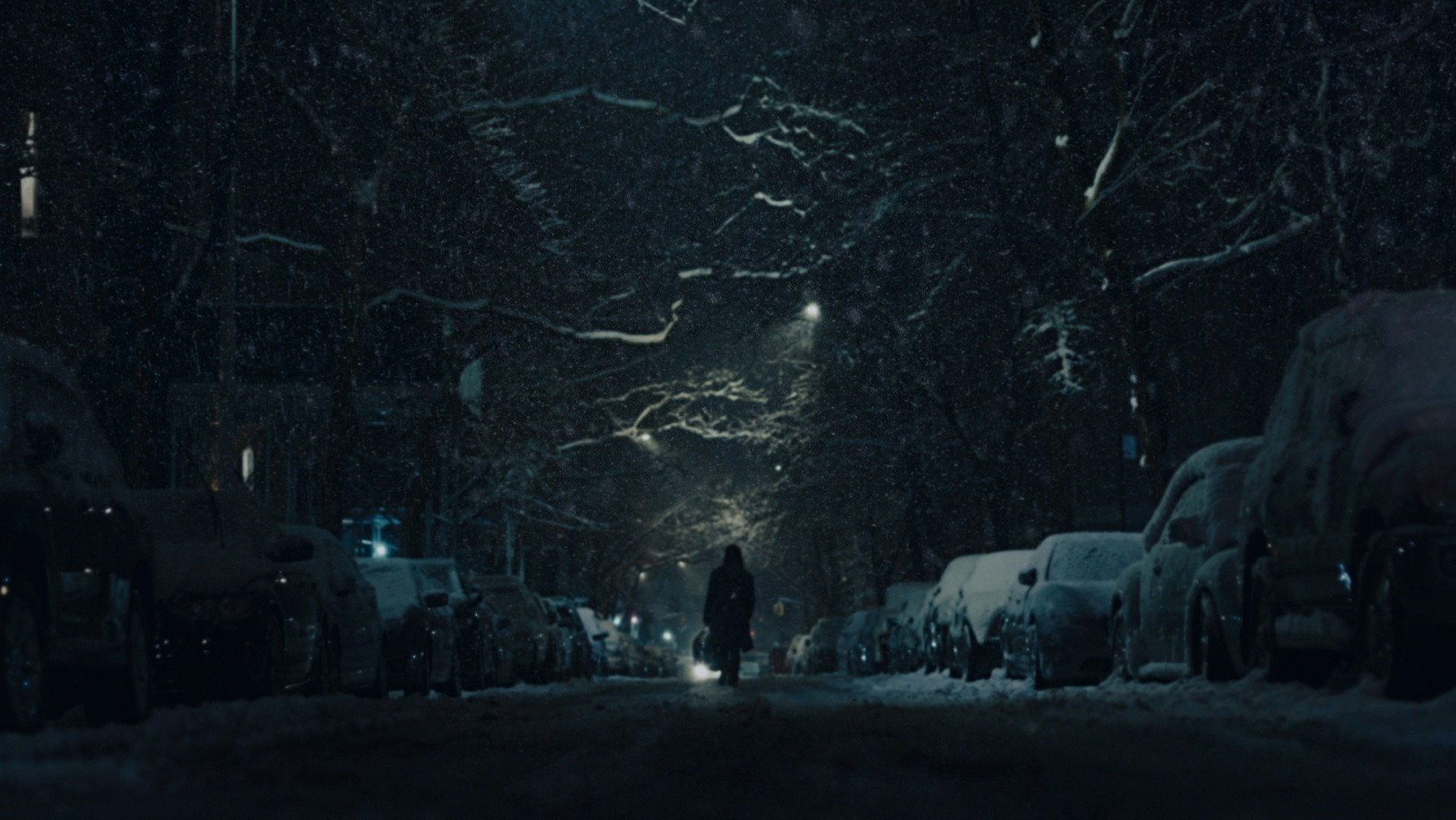 Feral scene photo