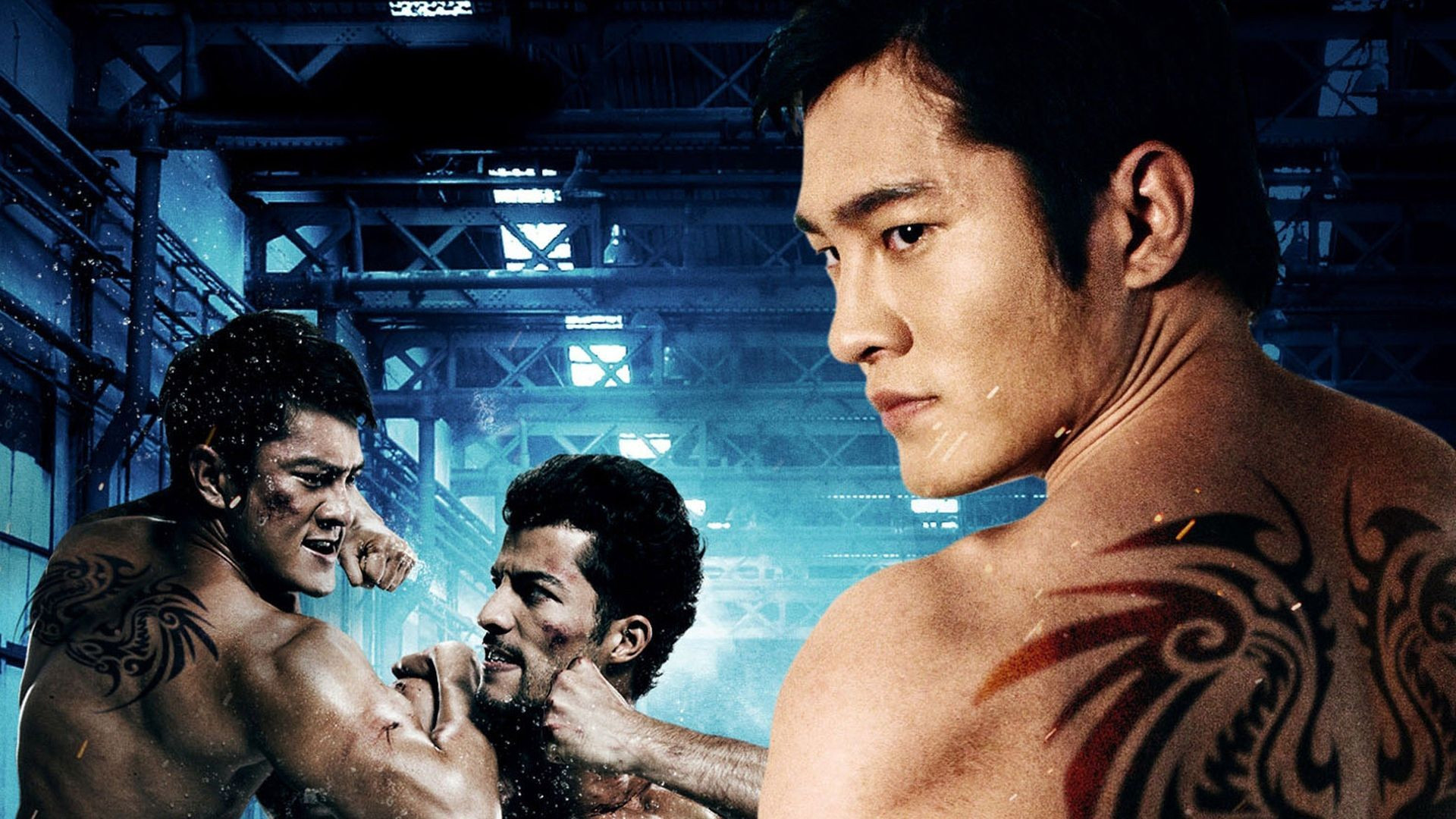Fighting Fish scene photo