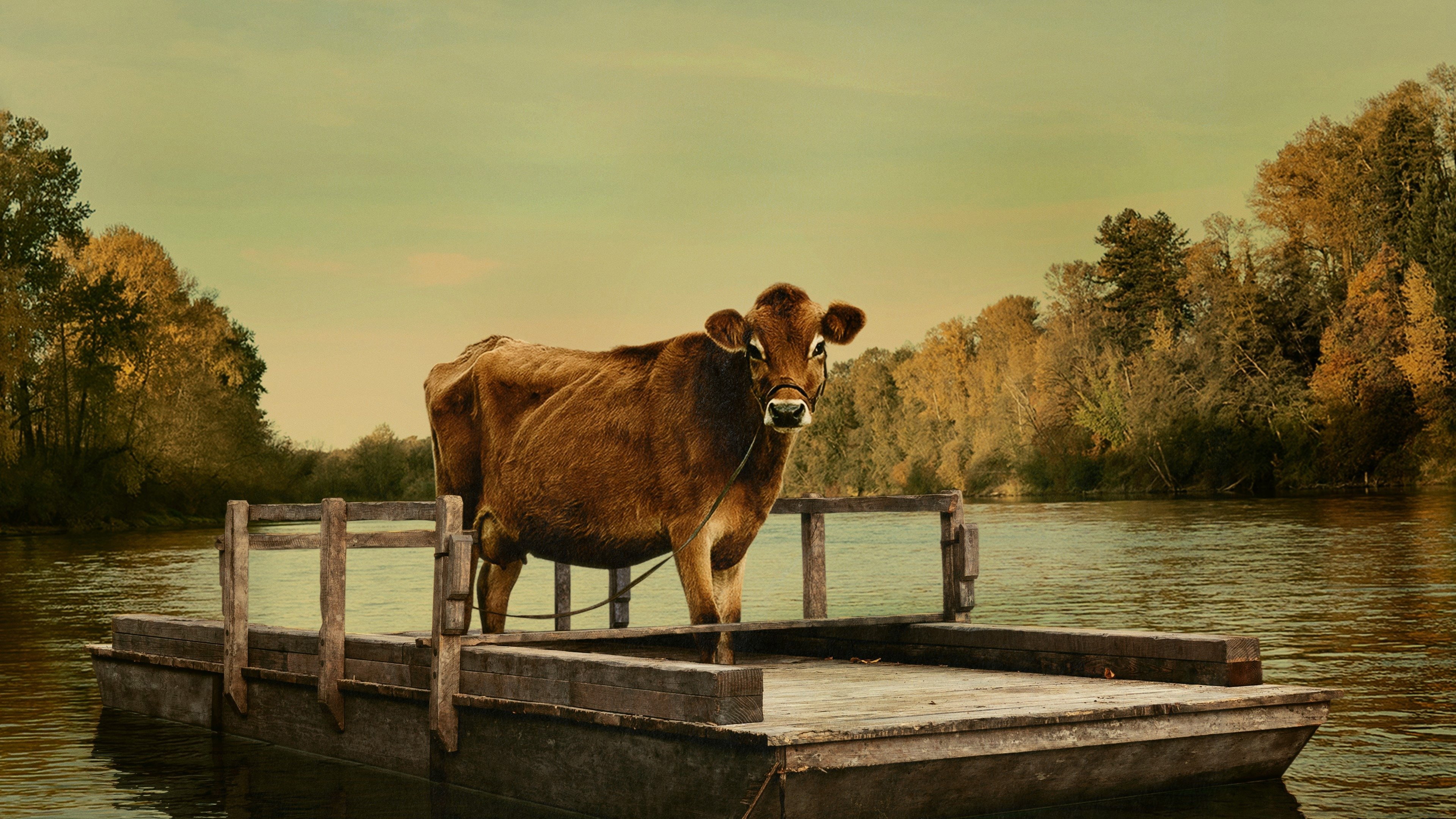 First Cow scene photo
