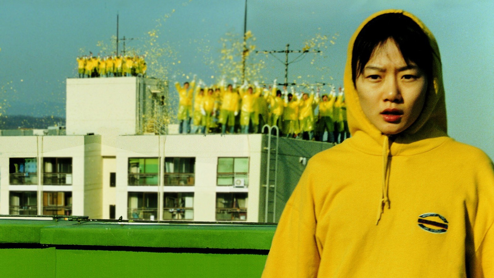 Flandersui gae scene photo
