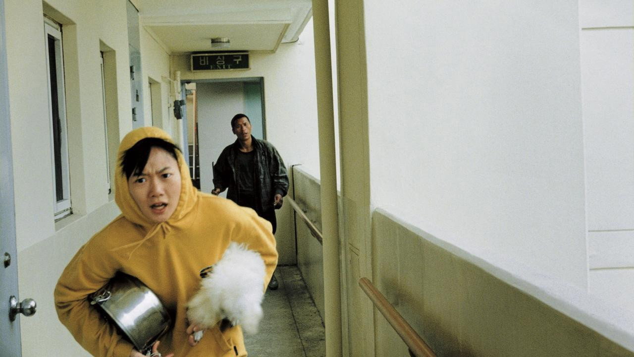 Flandersui gae scene photo